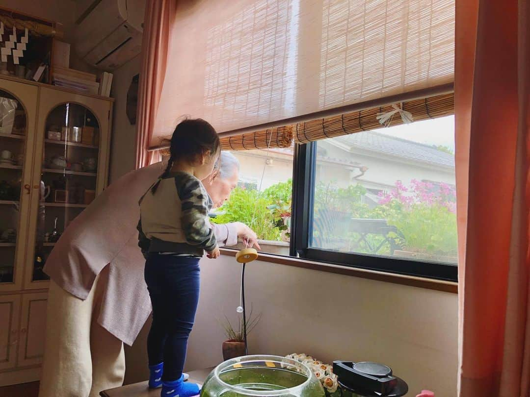 関谷桃子さんのインスタグラム写真 - (関谷桃子Instagram)「沢山のありがとうと大好きを。  教えてもらったこと 大切に大切に生きていくね♡  🪡🧶  たぶん、親族の中で私が一番気を使わない仲良しだったと思うよ。笑  色々楽しかったねぇ。  悲しくはないけど、やっぱり寂しいから、これからも近くで見守っていてね♡  愛を込めて♡🧵  #rip #iloveyoumama  #grandma #ありがとうだいすき」9月13日 20時37分 - momomo_s_