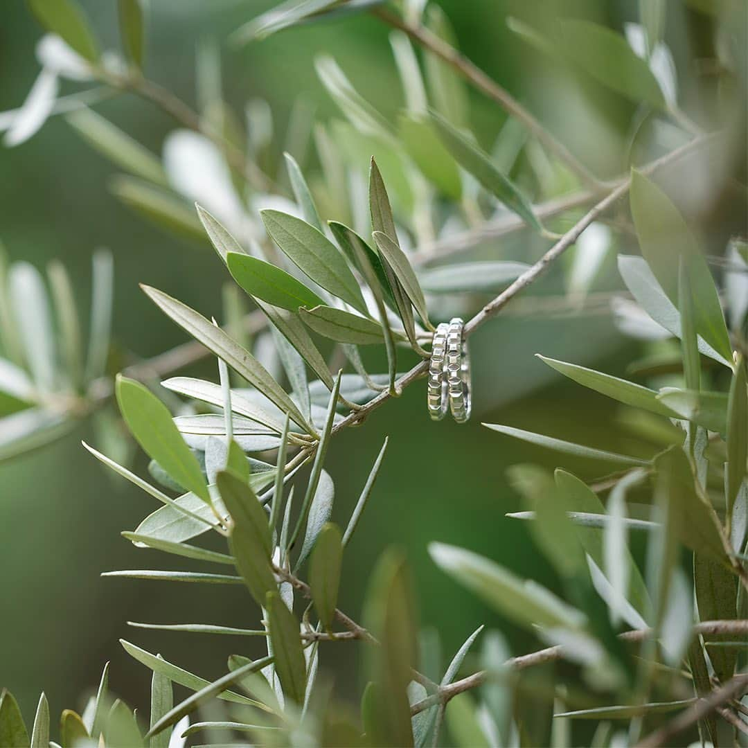 ヴィラデマリアージュ越谷レイクタウンweddingさんのインスタグラム写真 - (ヴィラデマリアージュ越谷レイクタウンweddingInstagram)「・  ガーデンウエディング🌿  @villas_des_mariages_koshigaya では ガーデンでの挙式や写真撮影が可能です  昼夜で雰囲気が変わる緑に囲まれたガーデンで 素敵な1日を過ごしてみませんか？  ---  #ブライダルフェア も実施中！ 8月のご予約も受付しております。 詳しくはHPにて☟ @villas_des_mariages_koshigaya   その他お問い合わせは TEL：048-961-4122 またはDMにてご連絡お待ちしております」9月13日 20時36分 - villas_des_mariages_koshigaya