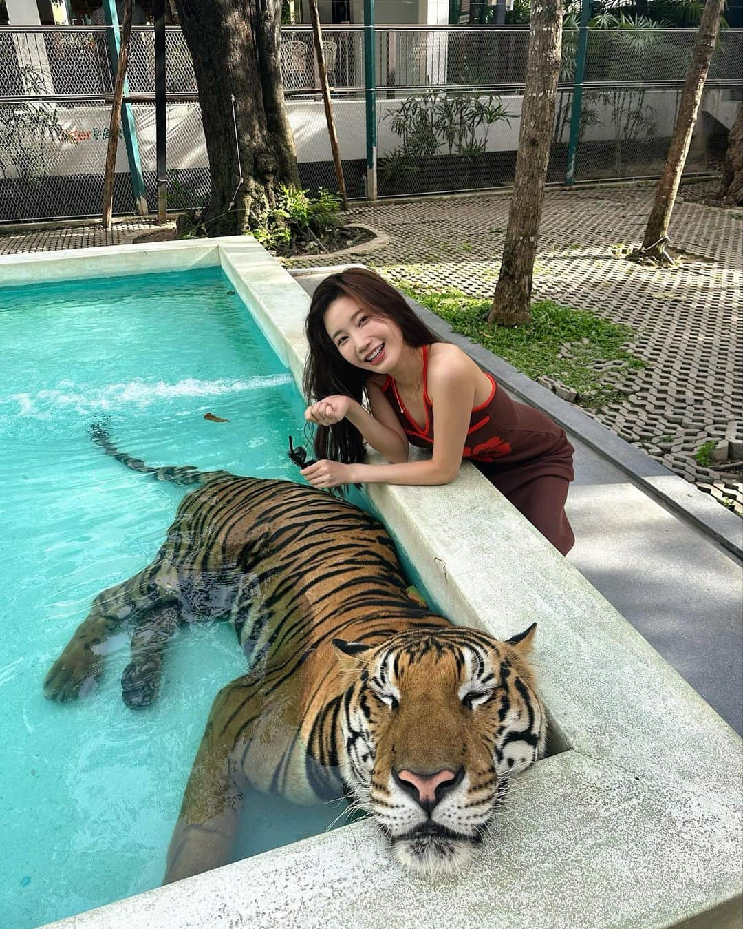 小倉優香のインスタグラム：「寅年なので虎と触れ合ってみた🐅  こういう、動物を使った商業施設って虐待まがいの調教をしてる所が多いイメージがあるからあまり行きたくなかったんだけど、この施設はそういうことはないというコーディネーターさんの話を信じて訪れてみたら、本当に職員の人が虎たちに愛があるのを感じで安心して楽しめたよ🤝 それ同時にうちのガルちゃんを思い出して会いたくなった🦁♡  #虎 #タイ #パタヤ #小倉ゆうか」