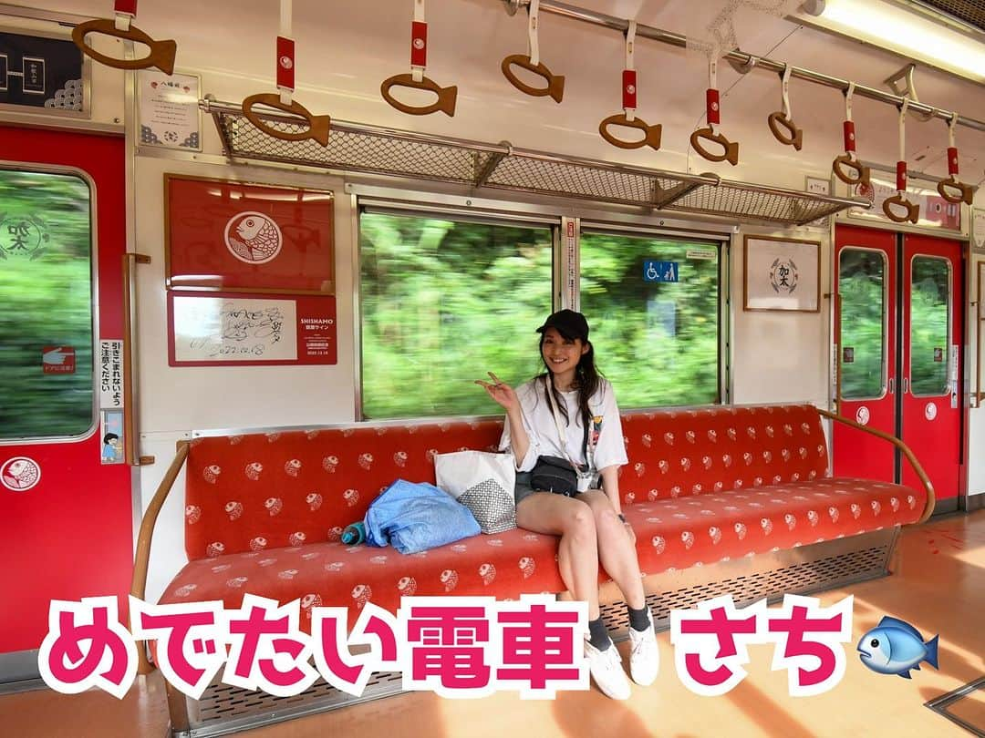 伊藤桃のインスタグラム：「【#南海加太線 #めでたい電車 】 加太駅からの帰り道も、また#めでたいでんしゃ にのれました！ 今度は…さち号❣️ 1.2.3枚目: 外観も内装もピンクづくしの "めんこい"電車。 4枚目: 車内にはこんな案内があり… 5枚目: 外に出てすぐ、見つけることができました！ ハートマーク。🫶 6枚目: つり革にも1つだけハートマーク💗 * 7枚目: 木をふんだんに使った可愛らしい内装がよき。 * 8枚目: じつはこのさちさんは既婚者！笑 同じめでたい電車のかいさんと結婚していお子さんもいるそう。(…という設定w) 婚姻届が車内に掲示されていました。 * 9枚目: 他にも各駅の情報や 10枚目: アーティスト、SHISHAMOさんのサインも！！ めでたい時に、加太駅で公開収録をしたそうで…おどろきでした🐱🫶 * 帰り道、1駅だけおりたのだ。 あとすこし、つづく( *´꒳`*) #加太スタグラム #加太線 #めでたいでんしゃ #めでたい電車さち」