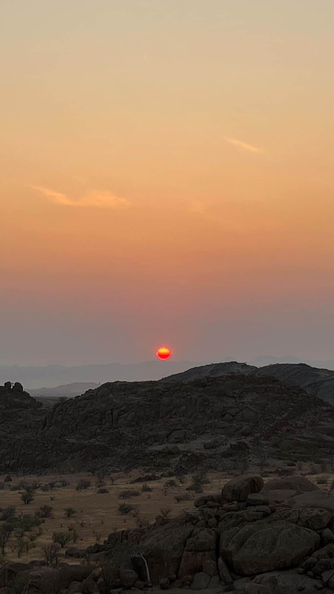 エレナ・アレジ・後藤のインスタグラム：「last Namibia post, what a trip!!! 🤍🐘」