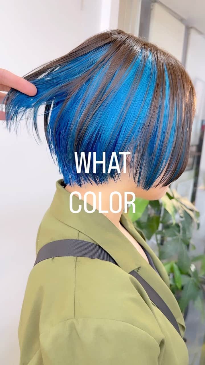 オオモトのインスタグラム：「何色が好きですか?What color do you like? ・ WOM  代表　オオモト @bobby_omoto_style @wom_hair_ ご予約はinstaDM or TEL にて🙇🏻‍♂️  ・ 直近空き予約や、日々の髪型はストーリーにて随時投稿しております🤚🏻気軽にご予約お待ちしております💌 ※ご新規様は注意事項を必読の上ご予約お願いいたします。  ・ お値段、ご予約方法、場所、などはストーリーハイライトに明記しております✨  税抜表示 ご新規様ブリーチ最終受付17時半 基本月、木休み 現在中途スタッフ、新卒スタッフを募集しております！ ご興味あるかたはDMお待ちしております！  ・  #ブリーチ#インナーカラー#インナーカラーピンク#インナーカラーブルー#クラゲウルフ#ケアブリーチ#haircolor#裾カラー#下北沢#ウルフカット#下北沢インナーカラー#アウターカラー#ウルフ#ウルフヘア#ショートウルフ#女生染髪#派手髪#髪色#머리#올림머리#좋아요#헤어컬러링#ハイトーン#中性ウルフ#メンズウルフ#暗髪#ミニボブ」