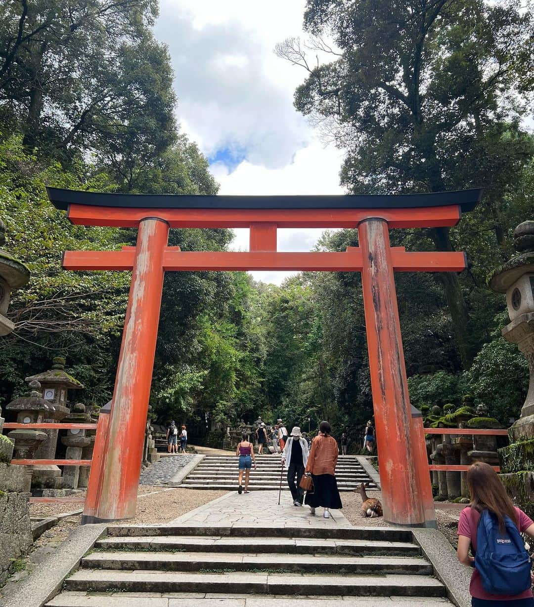 たけるさんのインスタグラム写真 - (たけるInstagram)「【最近の参拝歴】  春日大社　奈良県  東大寺とお隣さんの春日大社 世界遺産に登録されてる 年間、祭（神事）大小合わせてが2200回以上行われてるらしい 1日平均6回 プラスマイナスさんの舞台数ぐらいやってるな いや、プラスマイナスさんすごいな ほいで鳥居 日本三大木造鳥居の一つなんだって 超カッケェ 鳥居カッケェ 渋みマックス 火野正平鳥居と名付けよう あと何と言っても鹿さん めちゃめちゃいる あとめっちゃうんこある チョコボールばら撒きと名付けよう 金のウンジェル、銀のウンジェルあるかもね あと燈籠が凄すぎる 徳川綱吉から送られたってやつもあった 暗いところのやつもキレイキレイ 春日大社はびっくりするぐらい広かった 無限大ホール537個分だった  #備中神楽 #たける #東京ホテイソン #神社 #春日大社 #奈良 #パワースポット #鳥居カッケェ」9月13日 21時05分 - takayanken