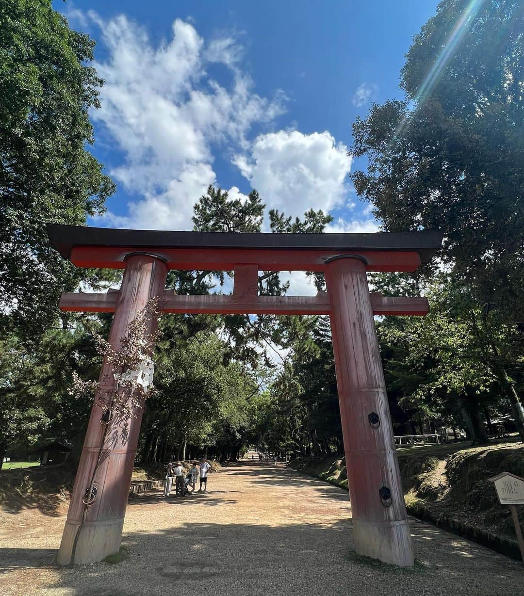 たけるさんのインスタグラム写真 - (たけるInstagram)「【最近の参拝歴】  春日大社　奈良県  東大寺とお隣さんの春日大社 世界遺産に登録されてる 年間、祭（神事）大小合わせてが2200回以上行われてるらしい 1日平均6回 プラスマイナスさんの舞台数ぐらいやってるな いや、プラスマイナスさんすごいな ほいで鳥居 日本三大木造鳥居の一つなんだって 超カッケェ 鳥居カッケェ 渋みマックス 火野正平鳥居と名付けよう あと何と言っても鹿さん めちゃめちゃいる あとめっちゃうんこある チョコボールばら撒きと名付けよう 金のウンジェル、銀のウンジェルあるかもね あと燈籠が凄すぎる 徳川綱吉から送られたってやつもあった 暗いところのやつもキレイキレイ 春日大社はびっくりするぐらい広かった 無限大ホール537個分だった  #備中神楽 #たける #東京ホテイソン #神社 #春日大社 #奈良 #パワースポット #鳥居カッケェ」9月13日 21時05分 - takayanken