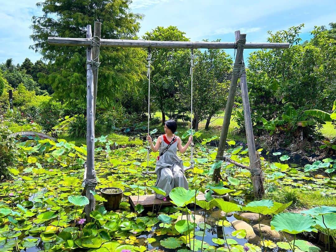 太田唯さんのインスタグラム写真 - (太田唯Instagram)「先日、台湾の桃園市で開催されている「世界客家博覧会2023」におじゃましてきました ！  . 客家とは漢民族の一つで、 その歴史や文化が学べる桃園全体での祭典です 🏟️🏮  写真は関連スポットのひとつ  #蓮荷園休閒農場 🪷 巨大な蓮に乗れて、まるでアリエッティになった気分でした わたし的桃園の激推しスポットです🥹  YouTubeに桃園観光した動画をアップしたのでぜひご覧頂けると嬉しいです☺️ 台湾最高  #桃園 #世界客家博覽會 #台湾観光 #台湾生活 #台湾女子旅」9月13日 21時25分 - yuiohta.official