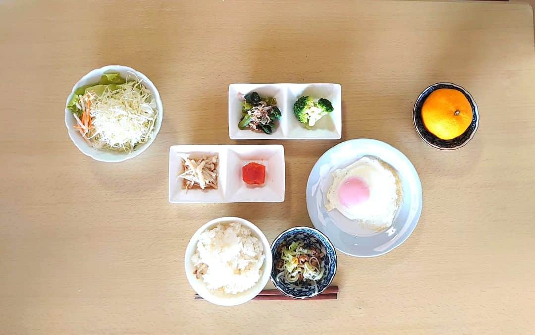 松野行秀のインスタグラム：「【備忘録🖌️〜本日の相方の制限食メニュー🥢〜】  (朝食) ○サラダ ○つるむらさきのお浸し ○えのきポン酢 ○ブロッコリー ○辛子明太子 ○目玉焼き ○納豆 ○ご飯 ○みかん  たんぱく質16.5g 塩分1.7g カリウム530mg  (昼食) ○トースト ○牛乳  たんぱく質14.5g 塩分1.2g カリウム430mg  (夕食) ○小松菜のお浸し ○アスパラガス ○オクラ ○トマトときゅうりの中華風和え ○メンチカツ ○シウマイ ○ご飯 ○オレンジ ○抹茶ハーバー  たんぱく質15.5g 塩分1.8g カリウム550mg  #カロリーSlism https://calorie.slism.jp/  #男の手料理 #典座日記 #腎臓病制限食 #減塩 #低たんぱく #低カリウム #先行的腎移植延期 #保存療法」