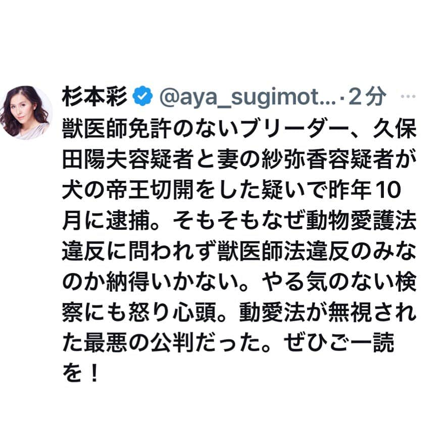 杉本彩さんのインスタグラム写真 - (杉本彩Instagram)「何のための動物愛護法か！ 怒りがおさまらない。 スタートから間違っている。 当初、動物愛護法違反でも逮捕されていたのに、なぜ動愛法に問われなかったのか、それを知る術はない。本当に納得がいかない。  #Repost @evaanimal with @use.repost ・・・ 9月12日、京都府京丹波町の犬のブリーダーで代表を務めていた夫とその妻の第3回公判が京都地裁であり傍聴してきました。 長野県松本市の無資格者による帝王切開事件に続き、またもや獣医師免許を持たない者による帝王切開及びマイクロチップの装着が行われていた事件となります。 前回に続き非常に納得のいかない公判内容でした。 そもそも獣医師法違反だけで問うから、医療行為に当たらないとか利益は得ていないなどといった理屈になります。動愛法違反であれば、明らかに無資格者による帝王切開は殺傷行為になるでしょう。 なんの知識も技術もない素人が行う帝王切開によって、これまでどれだけの動物が痛み苦しんだのか、そこでどんな行為をしてきたのか、また薬剤の入手など、それらが全く明らかにされない裁判で、ただただ獣医師法は無罪であるとその理屈だけ並べられる裁判を、傍聴席から聞くことしか出来ない世の中の不条理を心底痛感します。  次回は、11月上旬に被告人質問、情状証人。下旬に論告、結審　となります。  ■京都ブリーダー無資格帝王切開事件 第3回公判傍聴レポート  https://www.eva.or.jp/kyoutanbagyakutai ※ストーリーからリンクしています #京都府京丹波町 #無資格者による帝王切開 #無資格者によるマイクロチップの装着 #動物虐待 #獣医師法違反 #動物愛護法違反 #犬 #杉本彩 #動物環境福祉協会eva #生体展示販売反対  #もうやめよう家族の命の大量生産  #動物たちのために立ちあがろう」9月13日 21時33分 - sugimoto_aya0719