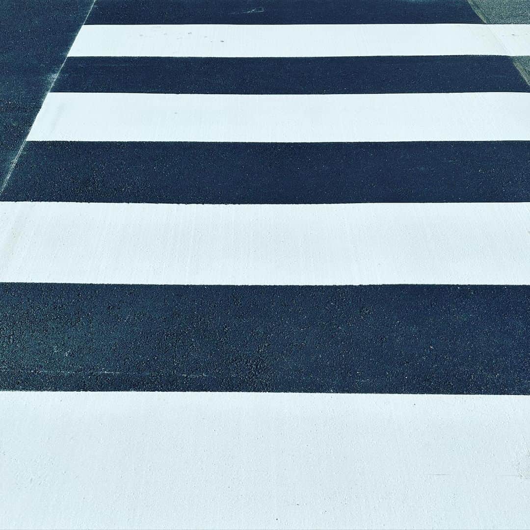 有吉弘行のインスタグラム：「引き立ての横断歩道綺麗すぎるー！ 最高だ！引き立て！ 横断歩道は引き立てに限る！！  #引き立ての横断歩道」
