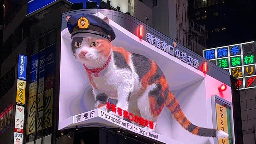 Shinnosukeのインスタグラム