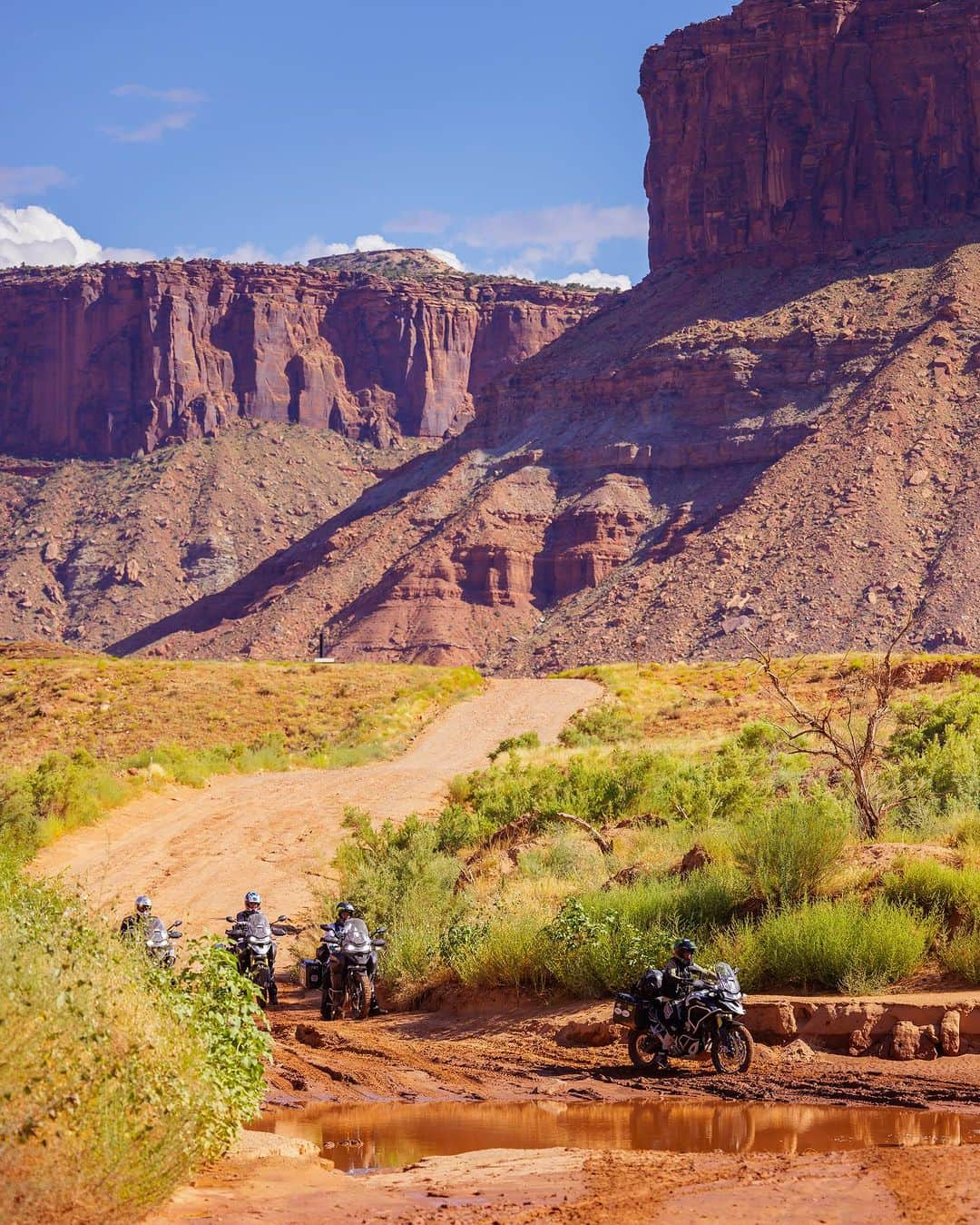 リッキー・カーマイケルさんのインスタグラム写真 - (リッキー・カーマイケルInstagram)「#rcssummeradventure Exploring the American west with @rickycarmichael and crew was a blast this summer! @jhleale @rayb1kanobi @chadwarrix @cudby @apaggio @triumphamerica @officialtriumph 📷 @cudby #colorado #utah #arizona #nevada #adv #adventure #moto #carmichael #motocross #motorcycle」9月13日 22時10分 - rickycarmichael