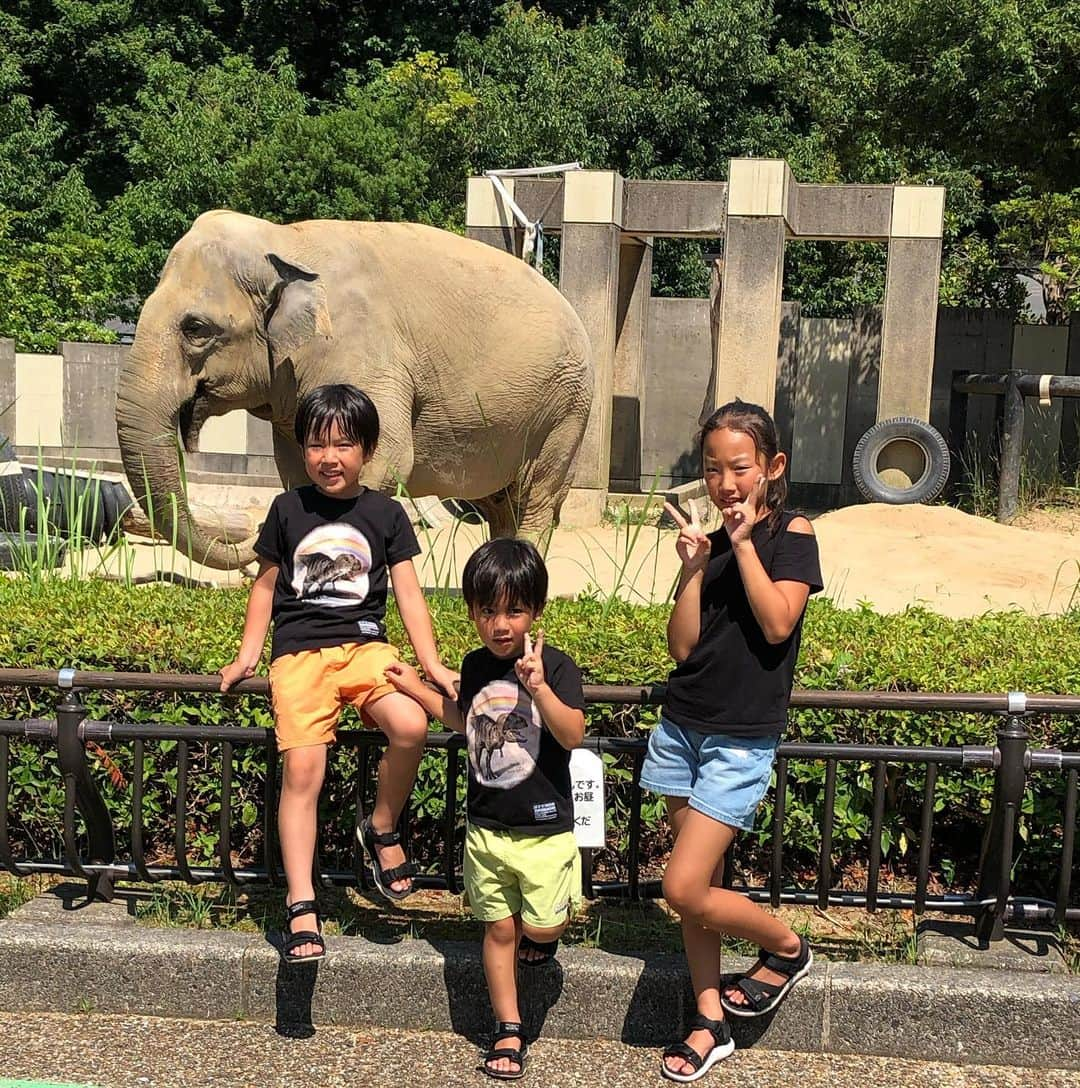 鷲尾春果さんのインスタグラム写真 - (鷲尾春果Instagram)「夏休みの思い出① 福井の恐竜博物館の後は、石川県へ移動し、初めての海釣り🐟 スズメダイとメジナが釣れました！ 隣接する、#のとじま水族館 のゆったり泳ぐジンベイザメ。 我が家が、旅先で必ず訪れる動物園。 酷暑のなかの#いしかわ動物園 も良い思い出です🐘 #夏休み#ノープラン旅 #5人家族#3きょうだい#👧🏻👦🏻👦🏻 #3児#ママ #育児#子育て #動物#大好き#初めての#海釣り」9月13日 22時58分 - harukawashio