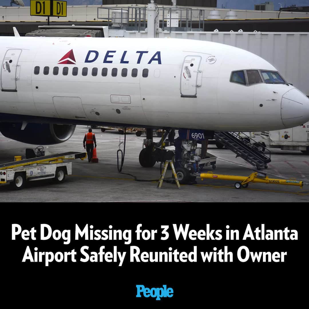 People Magazineさんのインスタグラム写真 - (People MagazineInstagram)「A pet dog that went missing for three weeks in the Atlanta Airport has been reunited with her owner, according to airport officials.  Six-year-old Maia’s owner, Paulina Rodriguez, was flying from the Dominican Republic to California on Delta Air Lines for a two-week vacation when her dog disappeared on Aug. 18, CNN Travel first reported. After three weeks, an official airport report gave a happy update on the investigation.  “Maia, the dog who escaped onto the airfield at the world’s busiest airport, was recovered on September 9,” Atlanta Airport wrote on X (previously known as Twitter). “ATL’s Operations team found her hiding near the North Cargo facilities. Tired but in apparent good health, she was transported to a vet and is expected to return home soon.”   Read the full story in our bio link. | 📷: Getty」9月14日 0時00分 - people