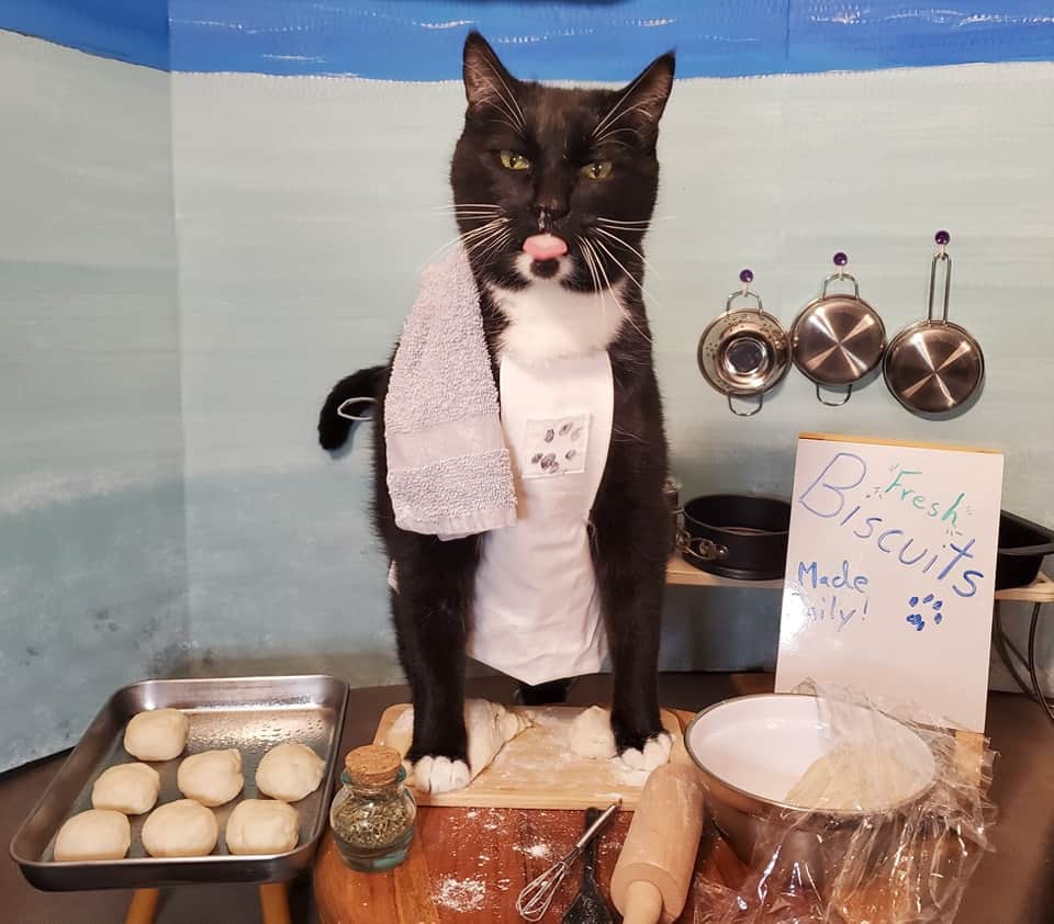 のインスタグラム：「Make ya own damn biscuits」