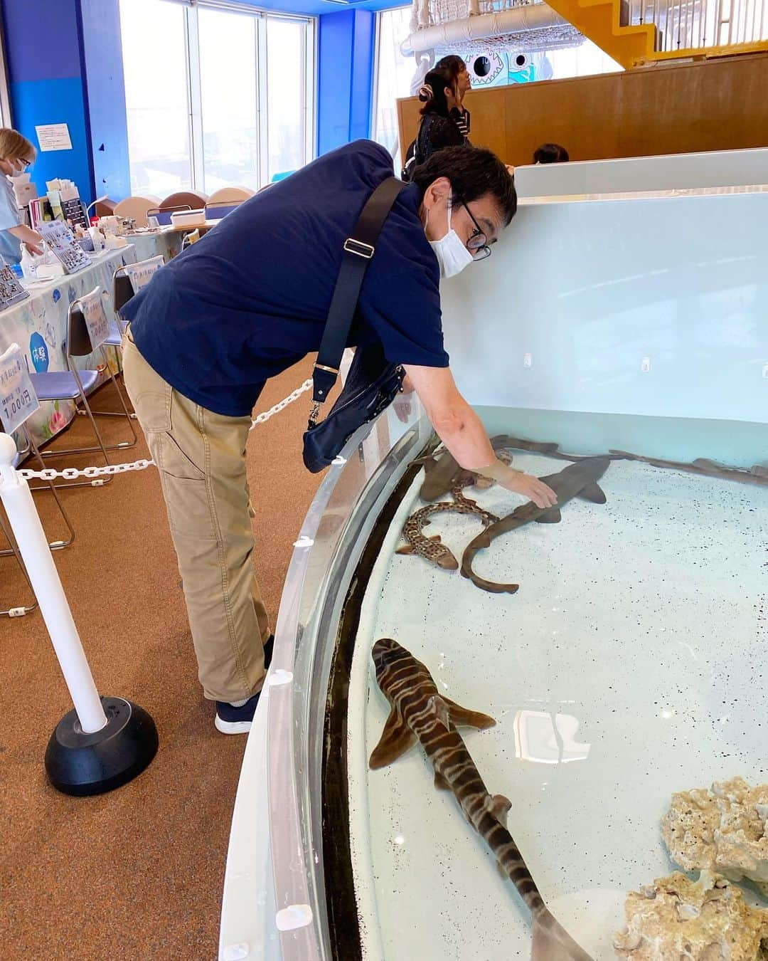 nemuru_catさんのインスタグラム写真 - (nemuru_catInstagram)「夏休みをいただきまして 茨城県大洗水族館に行ってまいりました🐠 サメの展示種類が国内１位で ２万匹もマイワシがいるのですよ。 シャークタッチングを体験し マンボウってほんと不思議な形よね…など話し、 アシカがイルカに上手に乗りまして なかなか出てこないチンアナゴに 焦らされちゃいました😚 岩礁の上に建っている鳥居が有名な 大洗磯前神社を御参りし 御朱印デビューしちゃいました⛩️ 常陸大宮の道の駅に行き 常陸牛のステーキと鮎天ざるそばを食べ 栗や梨、カボチャやナスにキュウリを購入し とても満足なお休みでございました☺️」9月14日 0時01分 - nemuru_cat