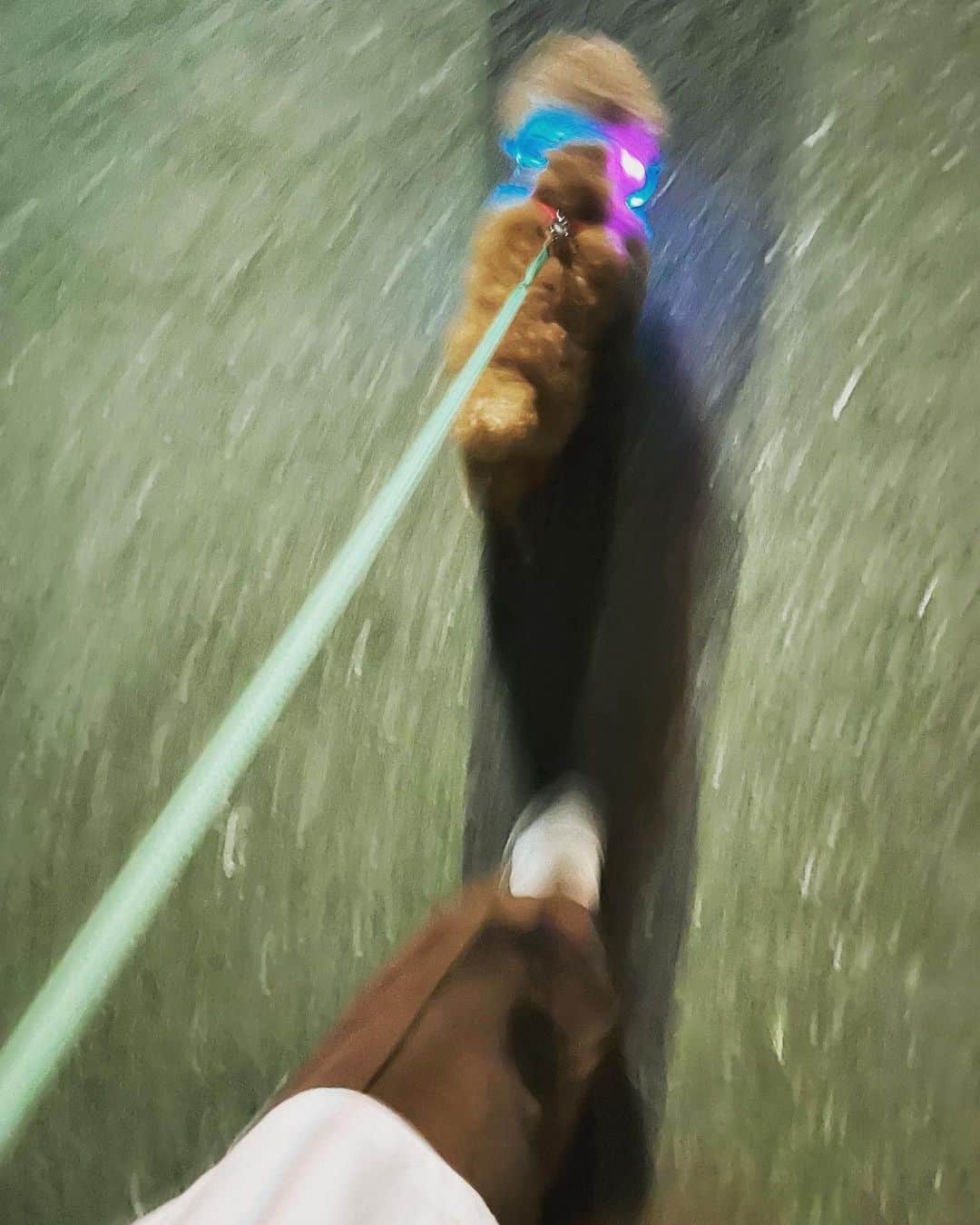 ヤスタケのインスタグラム：「🏃🏻✨ Thank you for walking with me‼︎!」