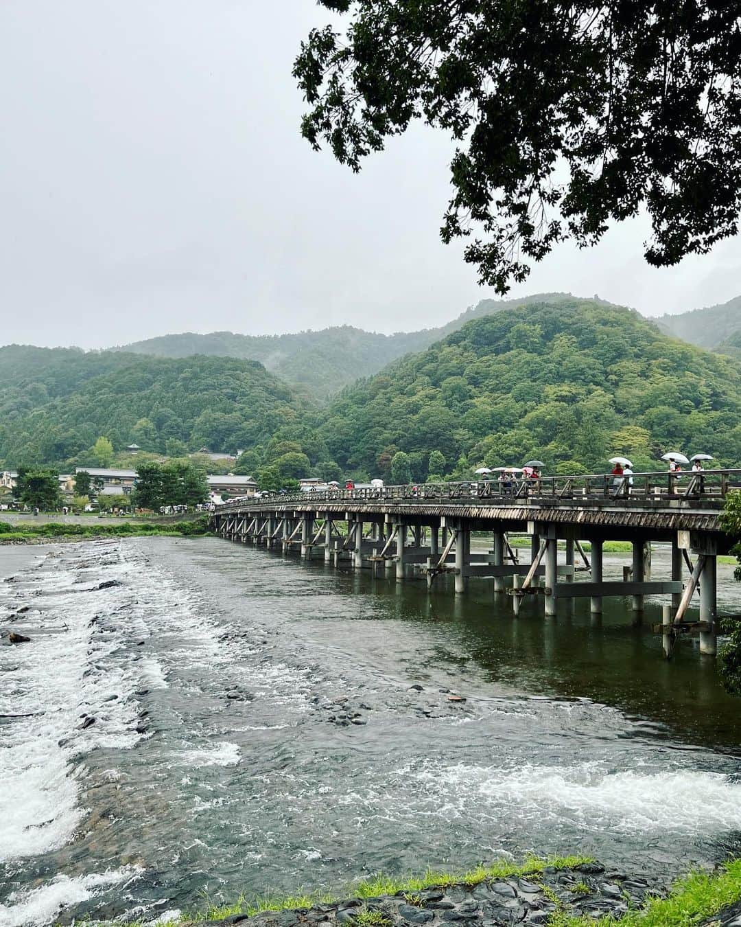 阿久津ゆりえさんのインスタグラム写真 - (阿久津ゆりえInstagram)「豪雨の嵐山☔️ 初めて行ったのに雨強すぎて全然回れず...😂 (それでもすごいいっぱいの人だった！) 早々に退散してしまったのでまたリベンジしに行きます🚃💨  京都旅は母、めみちゃんハイライトで締め〆 #kyoto #いっぱい食べる君が好き #ハンカチ紛失捜索発見事件 #嵯峨野湯 #yurie_travel」9月14日 6時13分 - yurie__a