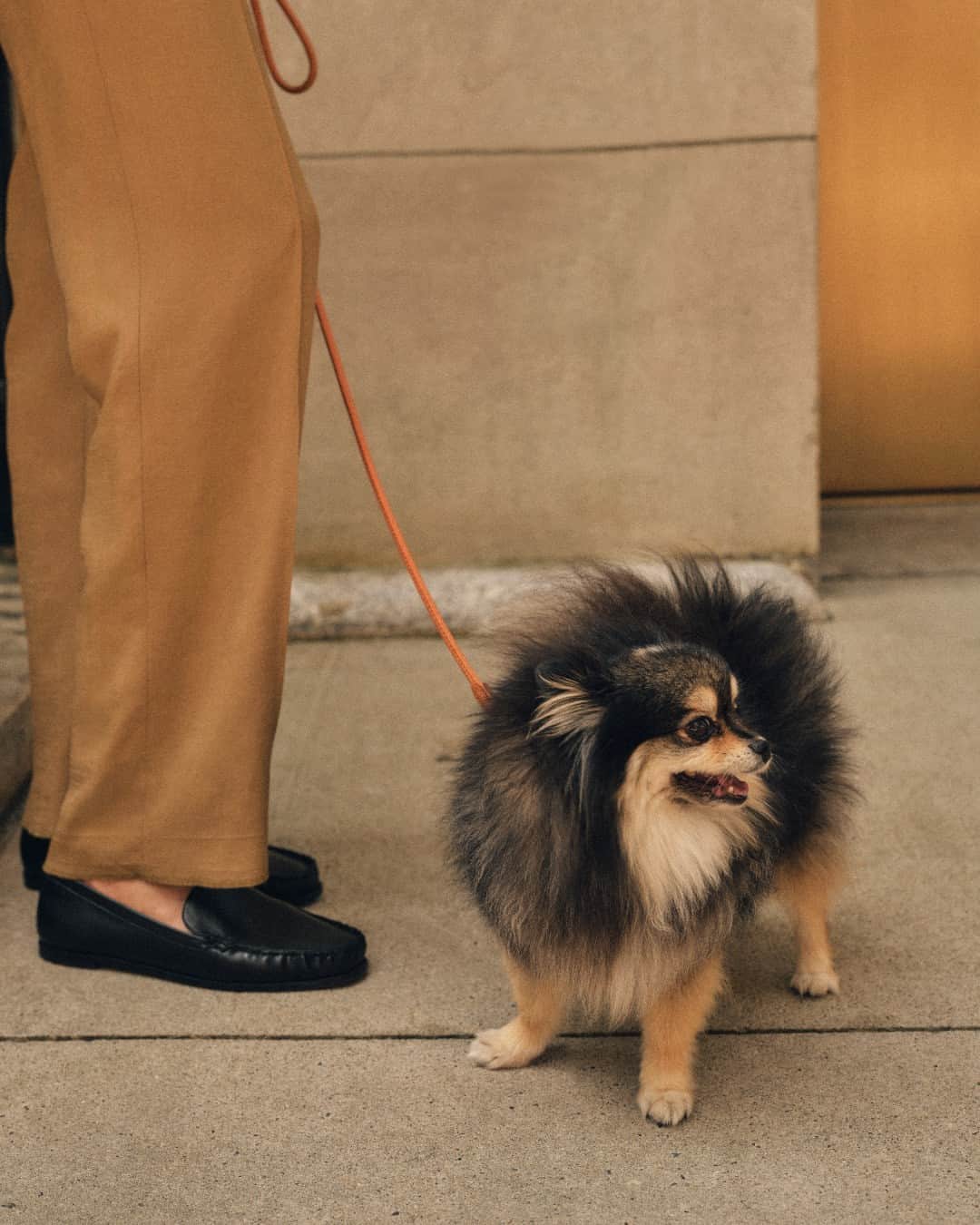 Club Monacoのインスタグラム：「The perfect accessory for a city stroll.」