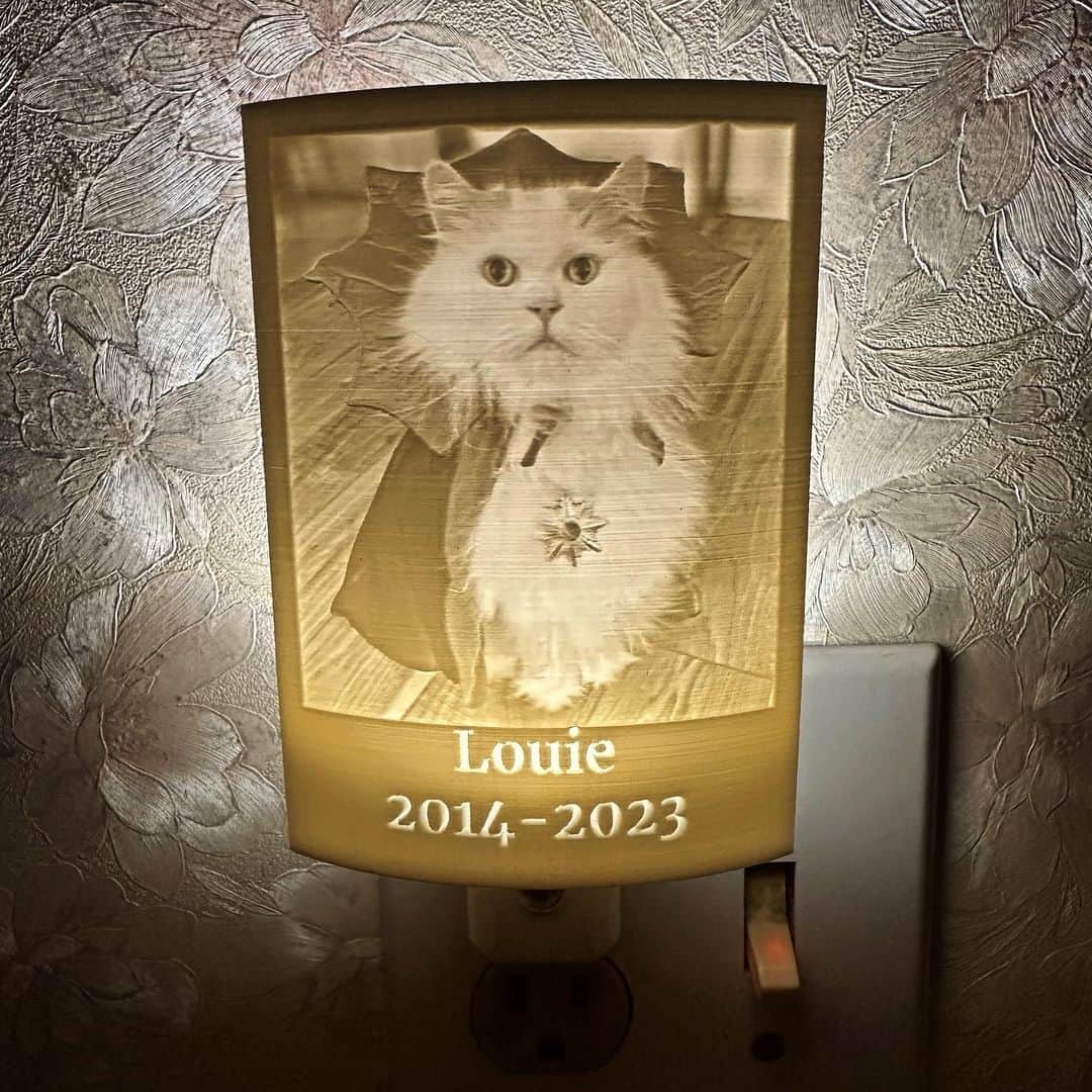 のインスタグラム：「Thank you so much @themeowtsiders for this beautiful nightlight of Louie that just arrived. I love that you picked him as Draculou. I love it so much. Thank you my friend 💗」