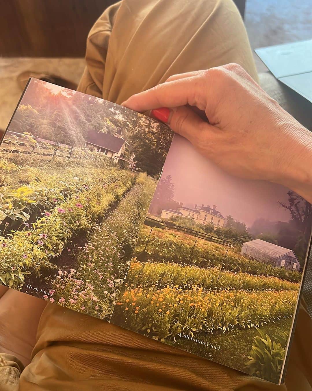 ミシェル・モナハンさんのインスタグラム写真 - (ミシェル・モナハンInstagram)「Meet @thejillrowe, founder of newly launched @cultivateapothecary. 🍃This woman is an inspiration! A former chef and now co-proprietor of @stonegatefarmny, Jill has literally cultivated and curated the most beautiful farm to table potions! 💫 There are serums, and toners and masks oh my! This small-batch, organically grown skincare is at its finest - and made with so much love. 🫶 Congratulations Jill. I can’t stop smelling this goodness! #wcw #farmgirls #cultivatebeauty」9月14日 7時18分 - michellemonaghan