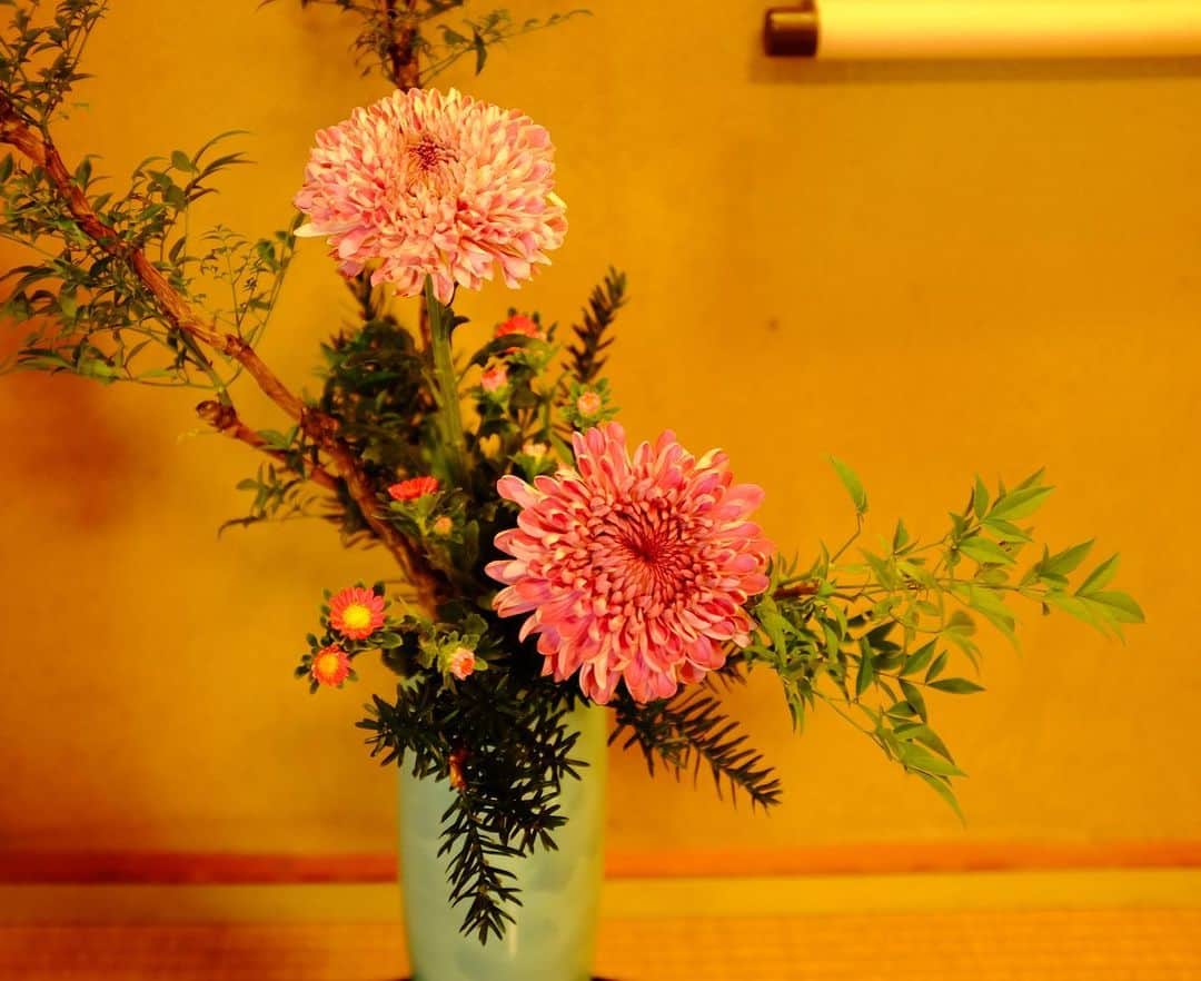 真奈のインスタグラム：「ikebana life🌷  #꽃꽂이　#生け花 #生けまな　#ikebana」