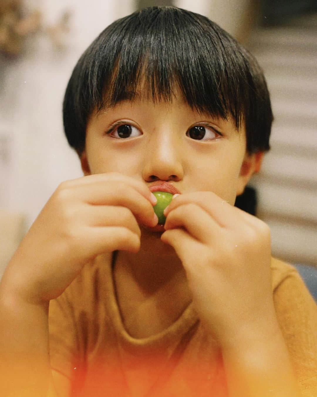 日下部ゆいこさんのインスタグラム写真 - (日下部ゆいこInstagram)「. . 野菜もですが 果物は季節を感じられて いいですよね。 . 我が家では兄弟での奪い合いのゴングが 毎夜響いております。 . シャインマスカット。 兄弟では争うのに ママにもちょーだいと言うと 二人ともいっぱいくれます。笑 . 男兄弟あるあるなのかな。 . . #シャインマスカット#フルーツ#男の子#男の子兄弟#男の子ママ#5歳#2歳」9月14日 10時10分 - yuiko_kusakabe