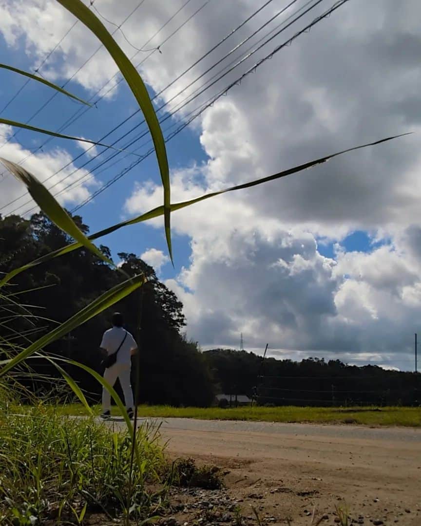 大和ヒロシさんのインスタグラム写真 - (大和ヒロシInstagram)「午前中は小糸大谷を歩いてます。 #君津市」9月14日 10時03分 - yamatohiroshi