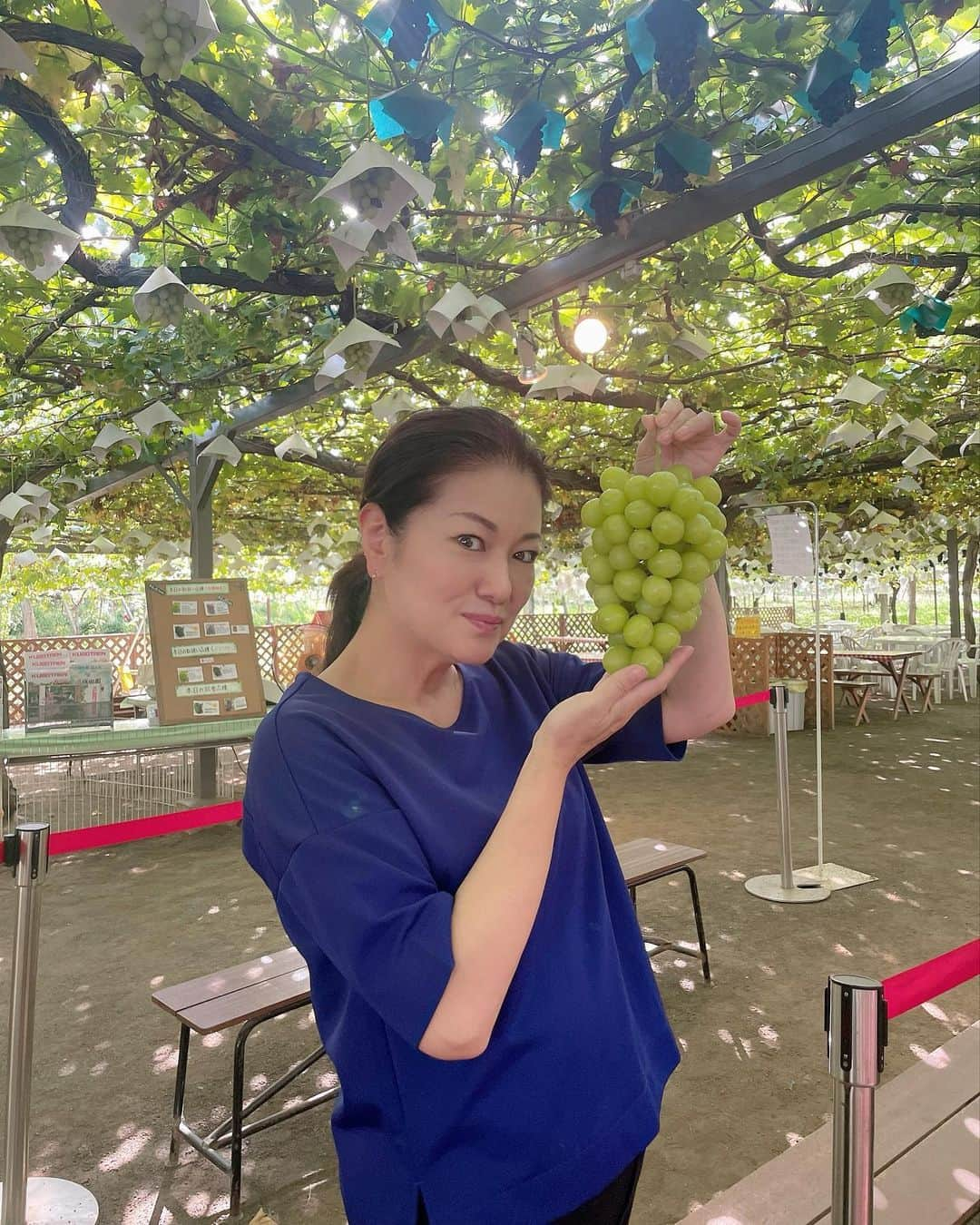 岡安弥生さんのインスタグラム写真 - (岡安弥生Instagram)「見事なシャインマスカット‼️甘くて美味しい〜🥰✨ 子供の頃、実家の庭に、ぶどう棚があったので、ぶどうの木の下に立つと、なぜか、いつも、遠い記憶が蘇ってきて、なんとも言えない懐かしい気持ちになるのです…🥹#シャインマスカット#ぶどう#美味しい#山梨#甲府#久保田農園」9月14日 19時32分 - yayoin3