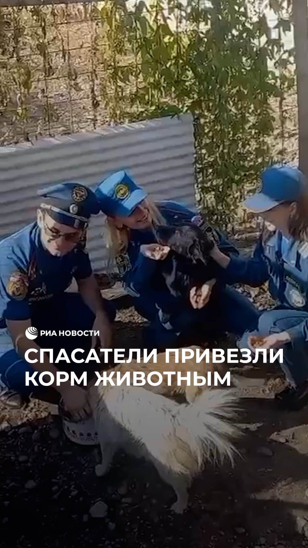 RIAノーボスチのインスタグラム：「В Биробиджане спасатели отвезли корм в приют животным. Бездомные кошки и собаки были очень рады встрече с гостями и поблагодарили их за подарки 🐕」
