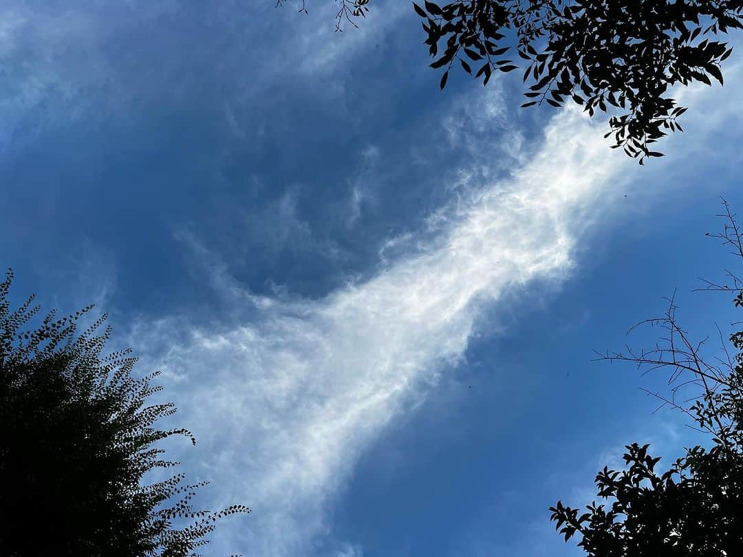 高野寛のインスタグラム：「流れる雲が、龍のようだった 蝉が一匹、鳴いていた」