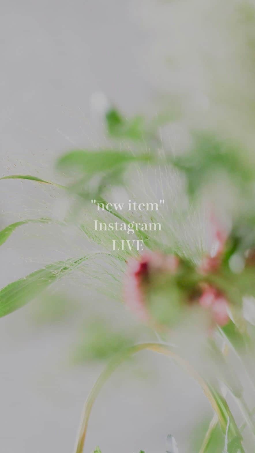 のインスタグラム
