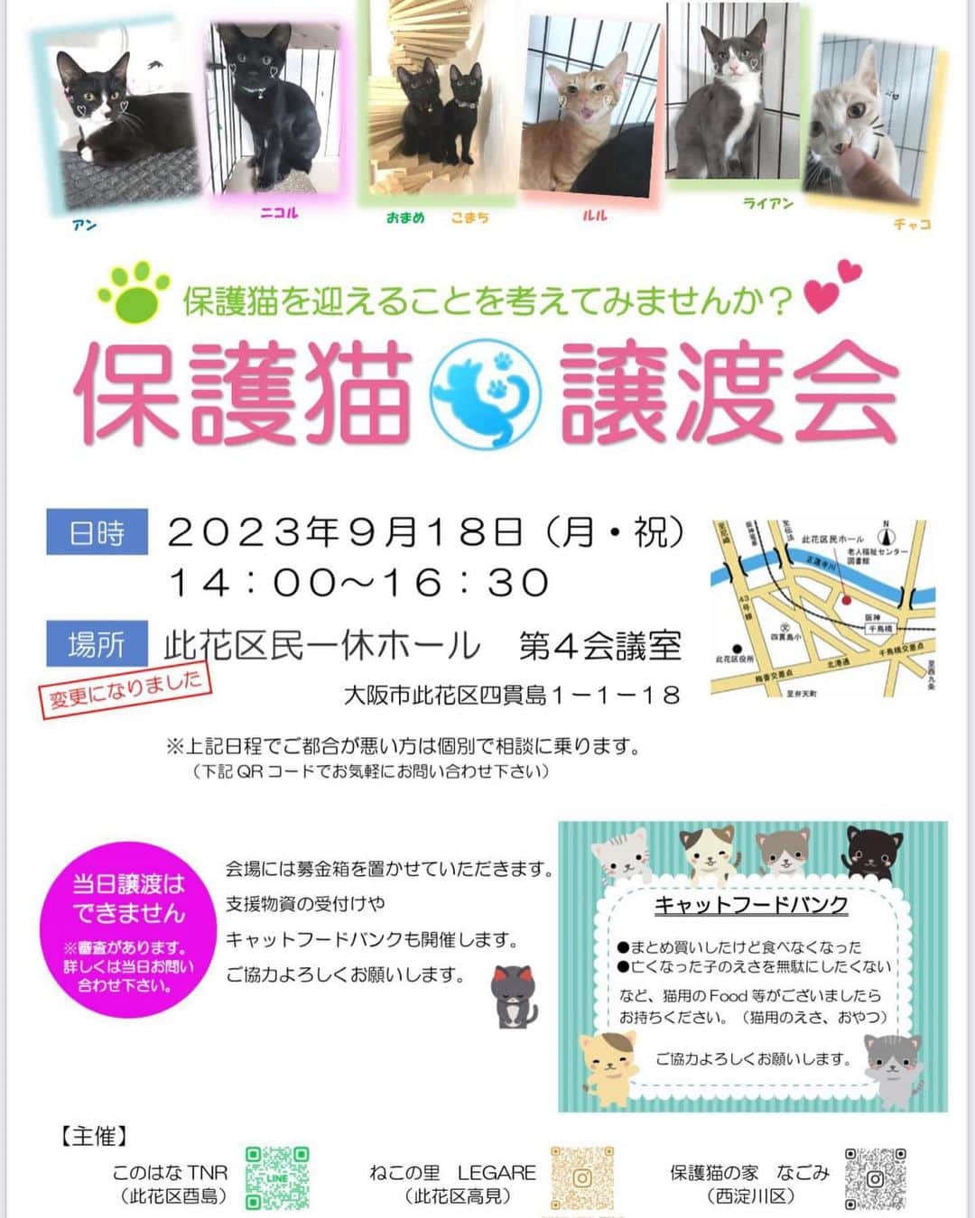 伊藤良夏のインスタグラム：「@kazu24ki  彼女は、猫の保護施設の運営や活動に本気で取り組んでいる、元々同じ事務所にいたモデルです。  彼女から、連絡がきて、私も18日に夫と息子と参加する事にしました。 ご興味あられる方は、お誘い合わせの上、是非お越しください。 以下です。拡散もお願いします🥰  良夏さん🐰🍀✨  今度、此花区で初めて譲渡会を 開催する事になりました😭✨  虐待されたり、仲間を毒殺されたり 多頭飼育崩壊で保護された子達や、一匹で生きていけない子猫や病気の野良猫などを保護していて、今回は総勢30匹ほど参加予定です😭🙏🏽✨  みんな本当に可愛い子達です( ᐪ ᐪ ) この子達を次の幸せへと繋ぐ為 もし良ければで大丈夫ですので…🏠✨ SNSなどで拡散していただけたら とっても嬉しいです😭✨」