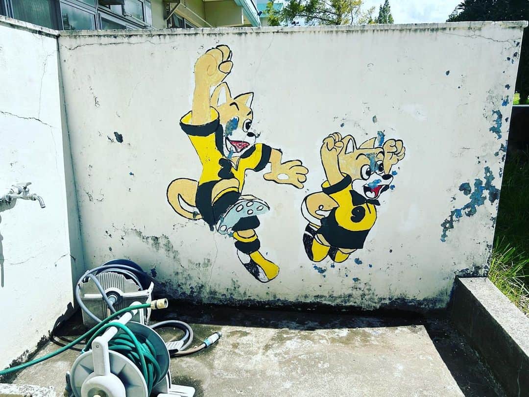 佐藤勇人さんのインスタグラム写真 - (佐藤勇人Instagram)「市原市立有秋西小学校  千葉県トップアスリート等活用事業の講師として、6年生66人の生徒さんへの講演を務めました。  講演後のボール遊びも汗をかきながら、楽しんでくれました😁  有秋西小学校の皆さん ありがとうございました！  #市原市 #有秋西小学校  #ジェフユナイテッド市原千葉  #佐藤勇人」9月14日 12時10分 - yuto7sato