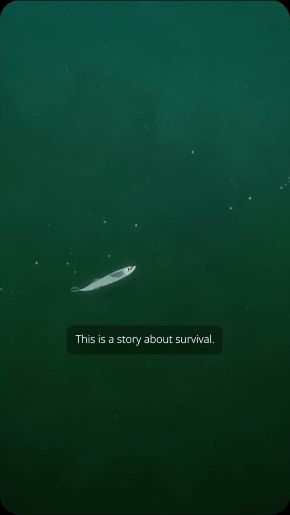 アンバー・ヴァレッタのインスタグラム：「I didn't realize how much I'd love seeing (hearing?) my friends as sea creatures!! Check out this brilliant short film by @Greenpeace featuring @camila_cabello @simonpegg and @janefonda that shows why implementing ocean sanctuaries is so crucial for our oceans and the beautiful creatures that inhabit them. Sign the petition, and then please share this video far and wide! #ProtectTheOceans @GreenpeaceUSA」