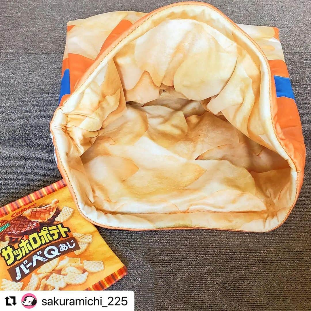 Caluluさんのインスタグラム写真 - (CaluluInstagram)「カルビーのペットベッドとおもちゃ、とってもいいですね〜🧡  ひょっこり姿がとっても可愛いすぎて癒されます〜🐶✨  Arnold  Palmerのギンガムチェックポロシャツワンピースもとってもお似合いですよ🎈  グリーン×ピンクのカラー配色がオシャレに着て頂けますので是非沢山着てくださいね👗  #Repost @sakuramichi_225 with @use.repost ・・・ ポテチわんこ。⁡ ⁡⁡ ⁡先日ストーリーに載せたポテチは⁡ ⁡ドッグウェアショップCaluluで買ったもの。⁡ ⁡⁡ ⁡中に入れるベッドは内側も凝っていてかわいい！⁡ ⁡でもティゴはこういうのに入らない子だった…。⁡ ⁡（知ってたんだけどね）⁡ ⁡⁡ ⁡カシャカシャおもちゃもピザポテトやえびせんなど⁡ ⁡何種類かあったよー。⁡ ⁡⁡ ⁡送料無料にするためにお洋服も買っちゃった。⁡ ⁡アーノルドパーマーのテニスウェア風。⁡ ⁡これ、クール加工＆虫除け効果があるらしい。⁡ ⁡⁡ ⁡本人があまり喜んでなくてもついつい買っちゃう。⁡ ⁡孫が出来たら怖い😆⁡ ⁡ ⁡ ⁡@calulu_dogwear 👈このお店。現在セール中。⁡ ⁡⁡ ⁡#わんこのいる生活 #わんこのいる暮らし #わんすたぐらむ #いぬすたぐらむ #しゅなすたぐらむ #ミニチュアシュナウザー #ミニシュナ #黒シュナ #Schnauzer #シュナウザー好きさんと繋がりたい #ティコ #カルビー #calbee #かわいいカルビー #arnoldpalmer #arnoldpalmer犬服 #アーノルドパーマー #オシャレわんこ #わんこ服 #犬のおもちゃ #わんこ部 #犬のいる暮らし #ペットグッズ #ペット用品 #わんわん物語 #ひょっこりわんこ #わんすたぐらむ」9月14日 12時39分 - calulu_dogwear