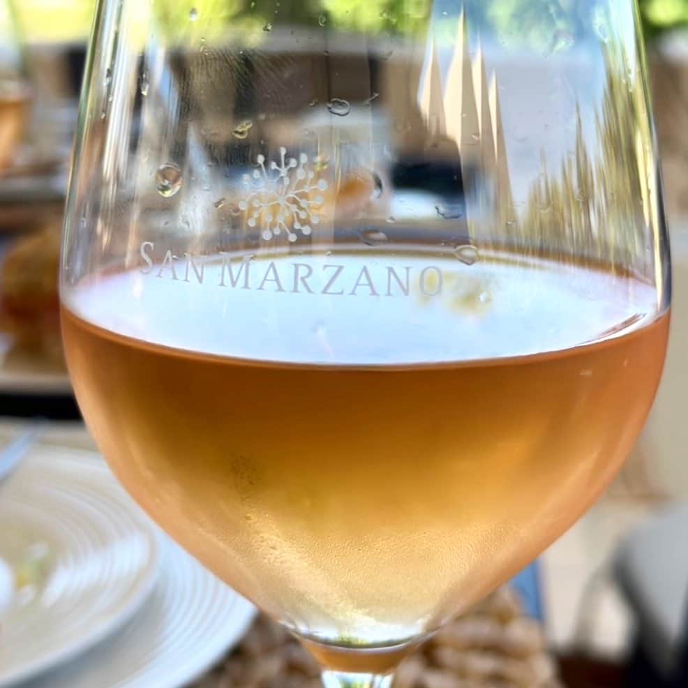 干場義雅さんのインスタグラム写真 - (干場義雅Instagram)「【太陽の下で飲む冷えたロゼ‼️】  果実味あふれるモダンなテイストで、最近、僕がめちゃくちゃ気に入っている大好きなワインが「サンマルツァーノ」。  1962年に創業し、世界的に大ヒットしている南イタリア🇮🇹プーリア州のワイン生産者、Cantine San Marzano（カンティーネ・サン マルツァーノ）です。  場所は、イタリアの“かかと”の部分、アドリア海とイオニア海に面したワイナリー。イタリアの中でも最高のブドウが造れる土壌で、現在では 1200 を超える最高品質のブドウ栽培者が集まっているんだそう。  プーリア州と言えば、イタリアはもちろん、ギリシャ、トルコ、アラブ、アルバニアなど、さまざまな人種が混ざり独特の文化を生み出してきた交差点。しかも、イタリア最大の農業地帯なんですよね。  トマトやオリーブオイルなど、食材の宝庫。太陽、風、大地の恩恵をたっぷり受けているわけですから、そりゃあ、ワインだってめちゃくちゃ美味いわけです。  さらに、古木のブドウから造られているというのも、サスティナブルな精神が宿っていて素晴らしい👏  白や赤はもちろん、スパークリングからロゼに至るまで、とにかく何を飲んでも激ウマ。しかも、ハイコストパフォーマンス。だから、朝から晩まで気兼ねなくグイグイ呑めちゃうんです。  オススメなのは、燦々と降り注ぐ太陽の下、ビーチやプールで仲間と集まって飲む冷えたロゼ。これが最高の瞬間なわけ。  南イタリア流のワインの楽しみ方、皆様もぜひ試してみては‼️  @sanmarzanowines #sanmarzanowines #サンマルツァーノワイン #Puglia  #プーリア #italianlifestyle  #presstrip #winesharingbeauty #tramari #トラマーリロゼ #ワインは共有の瞬間 #ワインは文化 #ワインはアイデアの交流 @yoshimasa_hoshiba  #yoshimasahoshiba  #干場義雅  @forzastylecom  #forzastyle  @minimalwardrobe_official」9月14日 13時13分 - yoshimasa_hoshiba