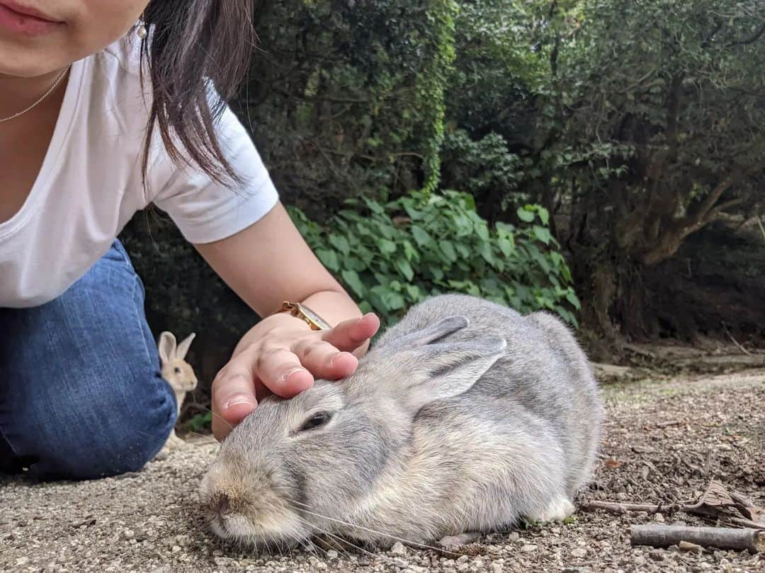 平岡亜紀さんのインスタグラム写真 - (平岡亜紀Instagram)「ずっと気になっていた、大久野島を訪れていました。父の地元の近く。久しぶりの広島訪問でした。 星空がきれいで、うさぎが沢山いて、いよいよ天国に来てしまったかと思った。笑 まだ、生きてる？よね？笑　  うさ様とのツーショット難易度めちゃくちゃ高かったけど、それもまた尊かった。。🥺💖🏝  #大久野島ダブルアニバーサリー　#常夏のセトウチパラダイス　#大久野島　#okunoshima」9月14日 13時44分 - akihiraoka1211