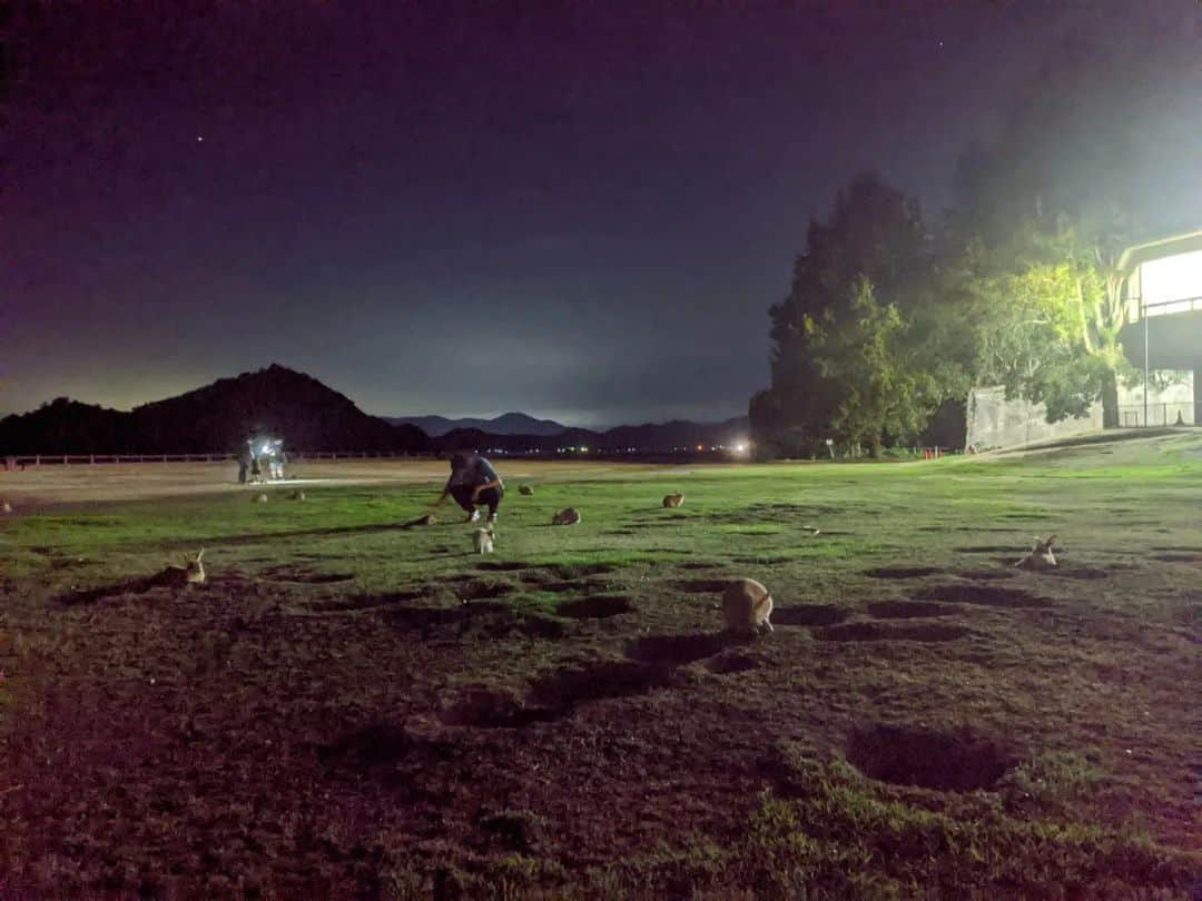 平岡亜紀さんのインスタグラム写真 - (平岡亜紀Instagram)「ずっと気になっていた、大久野島を訪れていました。父の地元の近く。久しぶりの広島訪問でした。 星空がきれいで、うさぎが沢山いて、いよいよ天国に来てしまったかと思った。笑 まだ、生きてる？よね？笑　  うさ様とのツーショット難易度めちゃくちゃ高かったけど、それもまた尊かった。。🥺💖🏝  #大久野島ダブルアニバーサリー　#常夏のセトウチパラダイス　#大久野島　#okunoshima」9月14日 13時44分 - akihiraoka1211