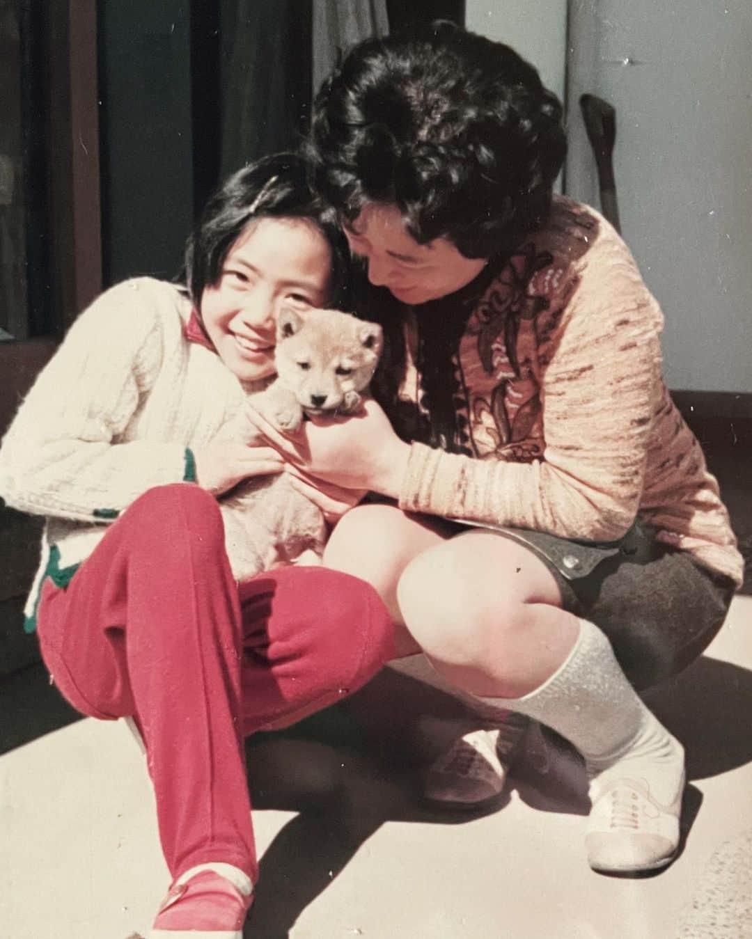 飯島真理さんのインスタグラム写真 - (飯島真理Instagram)「皆さん、これがかみつきゴン太です。本当に本当にかわいい柴犬でした。うちの両親が犬の躾というものを知らなかったため、最後は見限られたような晩年でかわいそうでした。私は今も愛してます。He was my very 1st original song’s theme. Gonta the shibainu 🐕」9月14日 15時05分 - mari_iijima_official