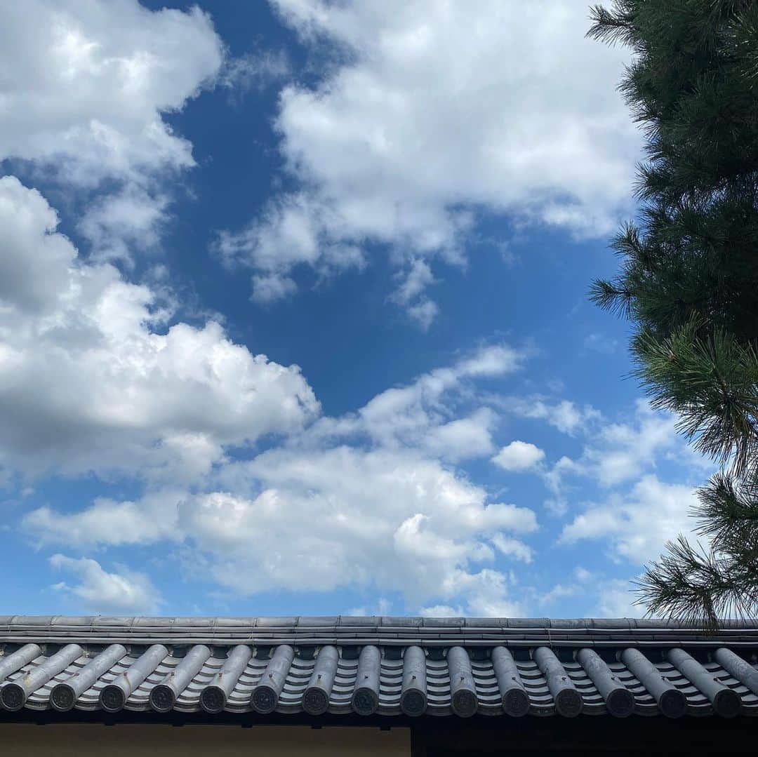 伊藤まさこさんのインスタグラム写真 - (伊藤まさこInstagram)「3ヶ月に一度くらいの割合で訪れている京都。先週末もまた。訪れるたびに景色が変わっていてびっくりするけれど、変わらないところももちろんあって(たとえばお寺できちんと揃えられた草履とか、ここから先は入らないでくださいねの立札代わりの石とか)ほっとしたり。今回は大徳寺まわりを散策。あとはいつものお店のいつもの味を。」9月14日 15時14分 - masakoito29