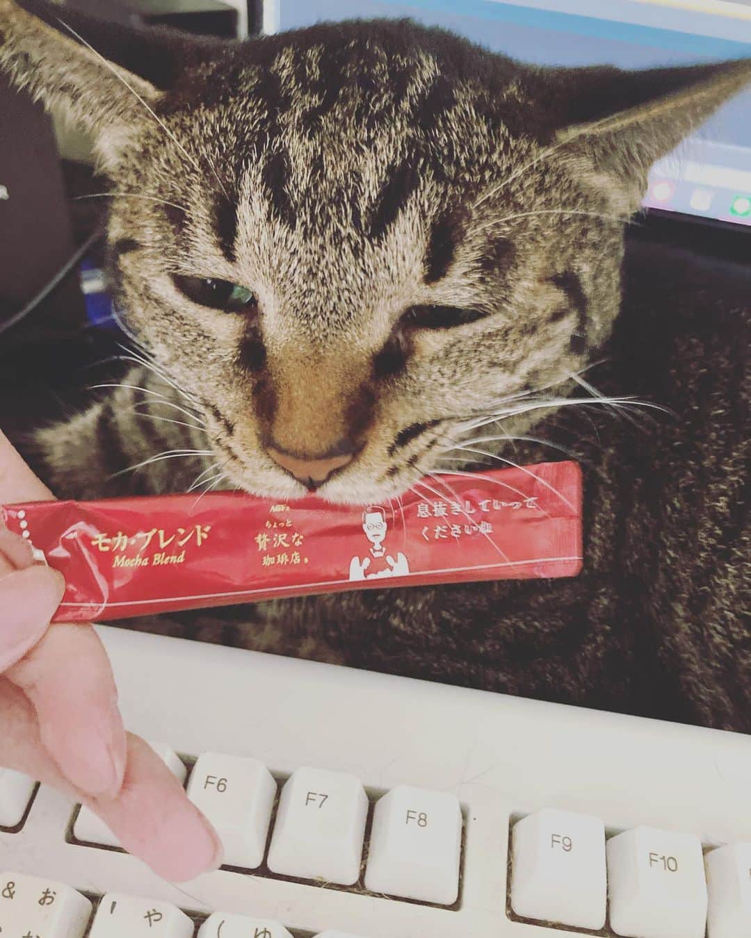 カミサマのインスタグラム