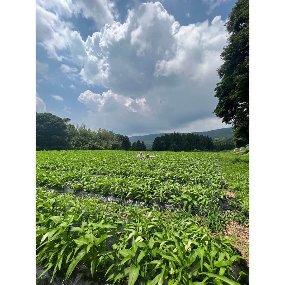 柴咲コウさんのインスタグラム写真 - (柴咲コウInstagram)「佐世保にある菌ちゃんふぁーむ。 菌ちゃん先生こと吉田俊道さんへ日頃の感謝を伝えに訪れることが叶いました✨  この日も大変暑かったけれど、菌ちゃん畑には清しい空気が流れていました☺️  スタッフの皆さんもどうもありがとうございました♡  #菌ちゃんふぁーむ #吉田俊道先生  #佐世保 #夏休みの思い出 #5枚目は #髪を40センチ伸ばします」9月14日 15時31分 - ko_shibasaki