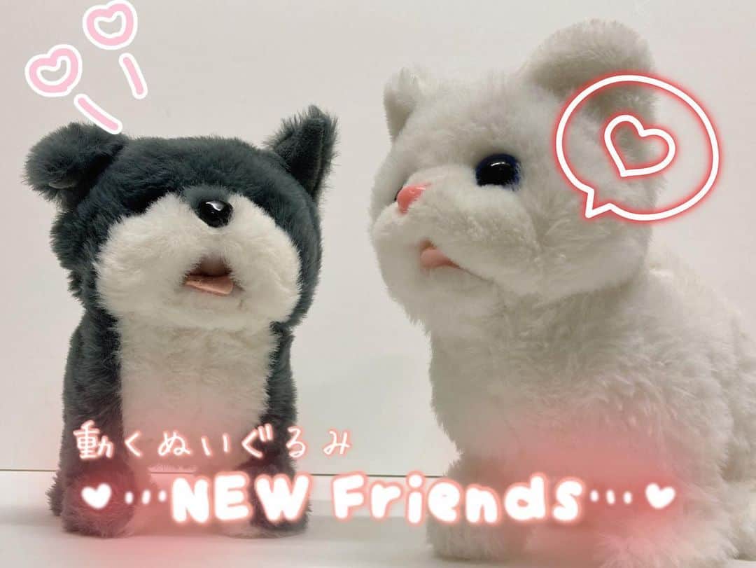 3COINS lN LUMINEのインスタグラム：「。 こんにちは🎀ルミネエスト新宿店です🌱  本日は【動くぬいぐるみ】のご紹介です🐶🐱  ⚪️動くぬいぐるみ グレイドッグ/ホワイトキャット ¥800(税込¥880) ■仕様■ 対象年齢：6歳以上 使用電池：単3電池×2本（別売り）  動くぬいぐるみに新しいお友達が仲間入り！ 鳴きながらよちよち歩く姿が、キュンとなります💕 お子様には勿論、動物好きな大人にもおすすめです。  是非店頭にてご覧下さいませ✨️ 皆様のご来店お待ちしております。 ・ 店舗によって在庫状況が異なりますので、ご注意ください。 ・ お電話での在庫確認も行っておりますので、ご利用くださいませ📞 ・ ルミネエスト新宿は営業時間を変更しております。 平日:11:00〜21:00 土日祝:10:30〜21:00 (一部営業時間が異なるショップもございます)  #3COINS #3coins #スリーコインズ #スリコ #スリコ購入品 #プチプラ #新商品 #new #animal #犬好き #猫好き #キッズ #おもちゃ #ぬいぐるみ #かわいい #プレゼント #動物好き」