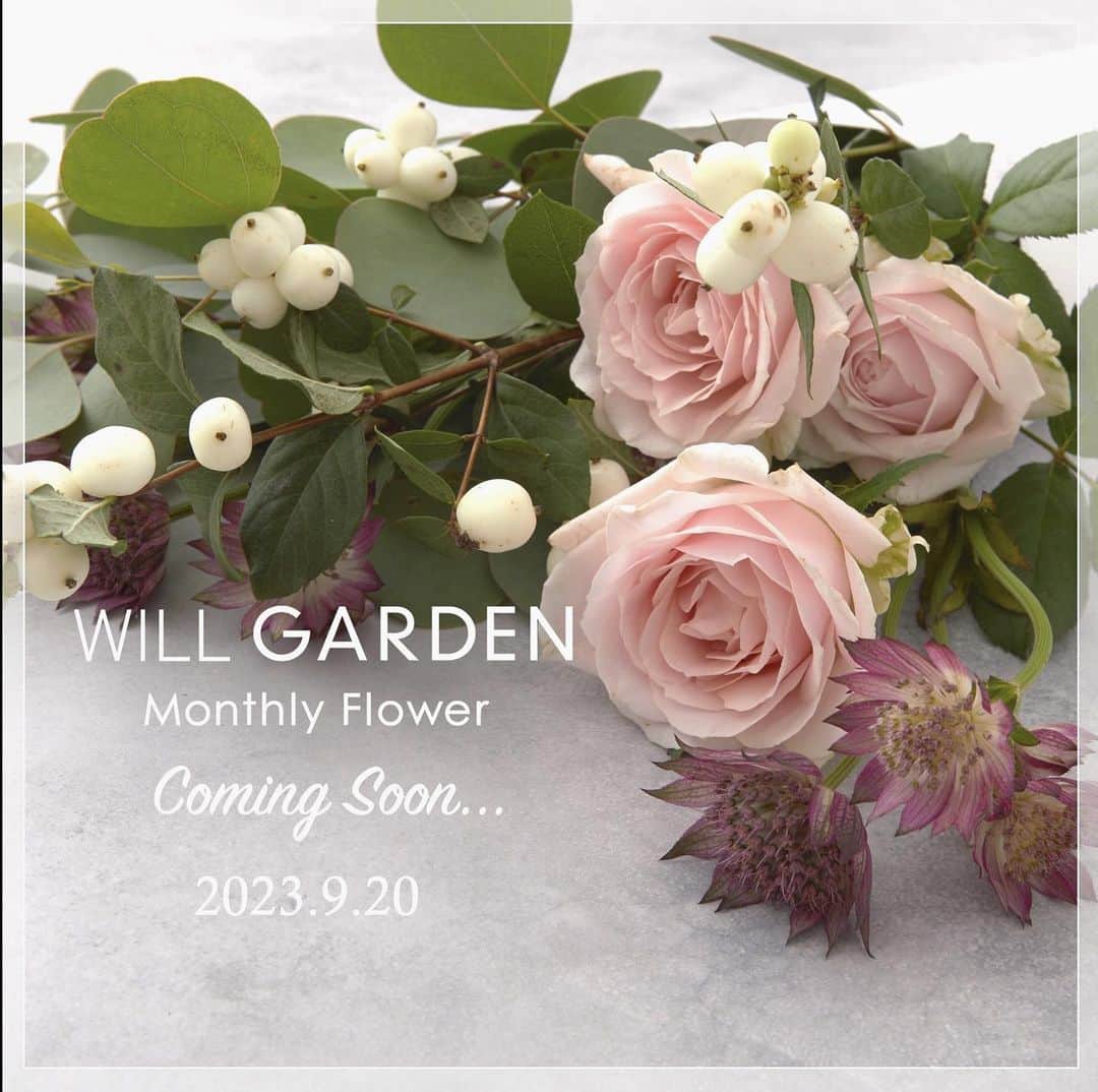 畑野ひろ子のインスタグラム：「私がセレクトしたお花たちを、お家で楽しんでいただけるお花の定期便をスタートすることになりました！  9/20よりお申し込みいただけるようになります😌💐 また、その頃にお知らせさせてください💁‍♀️」