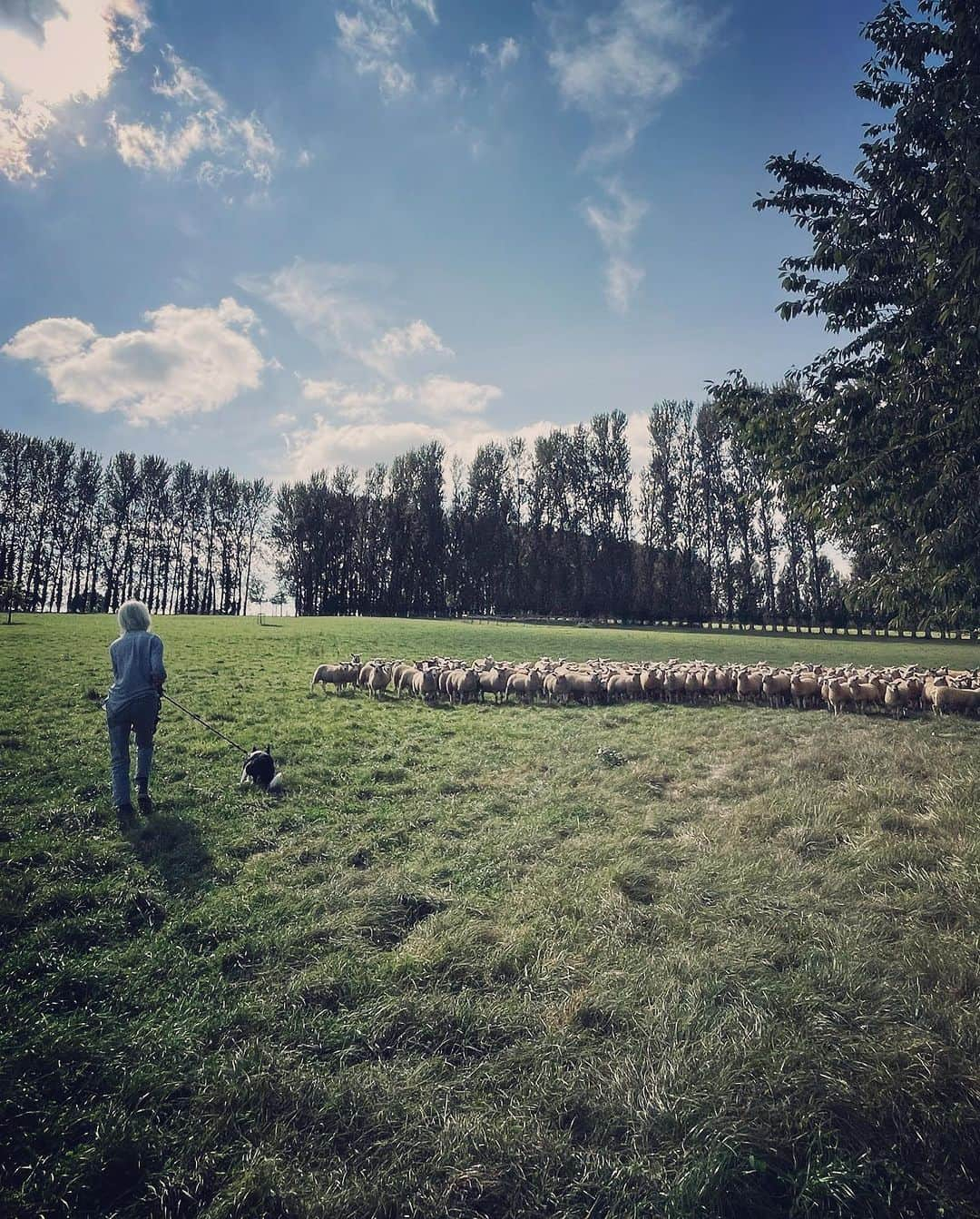 アリスバイテンパリーさんのインスタグラム写真 - (アリスバイテンパリーInstagram)「I love Autumn.  Harvest time at the farm and the shaker machine that I could literally watch all day. ❤️🍐🍎🍐🍎   @somersetciderbrandy」9月14日 16時03分 - alicetemperley