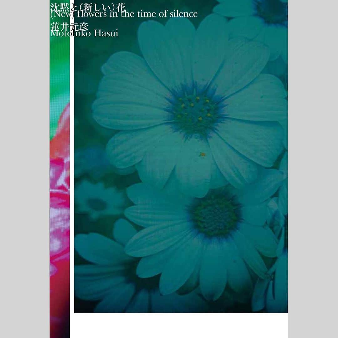 蓮井元彦のインスタグラム：「「沈黙と(新しい)花」zineを9月21日に刊行します。flotsam booksでの写真展も併せてよろしくお願いします。  Photographs @motohiko_hasui  Design @yutaro__yamada  Special Thanks @pichippi_ & @usamisaura  Published by @flotsambooks   #沈黙と新しい花　#蓮井元彦」