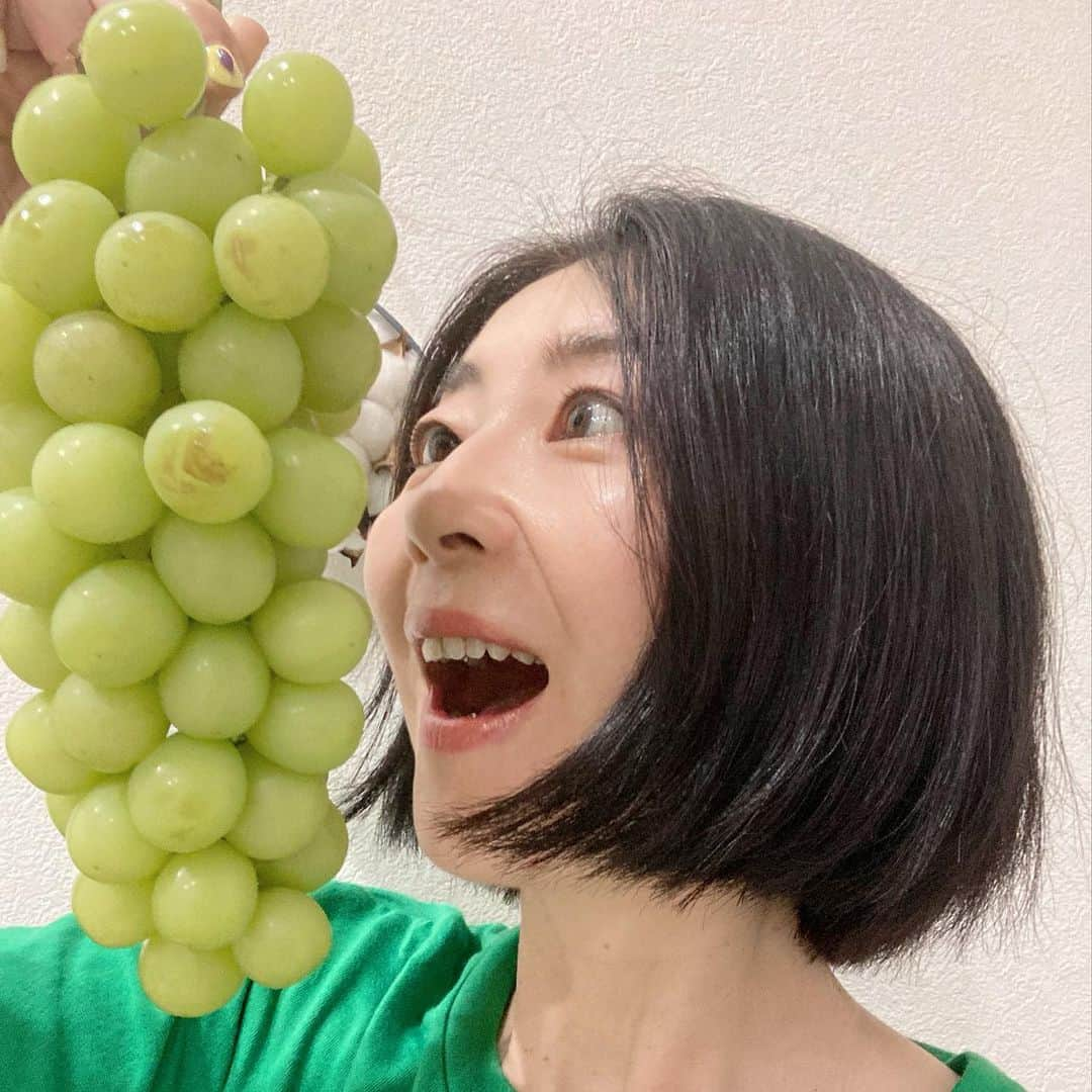 江藤あやのインスタグラム：「美名子ちゃんから 立派なシャインマスカット🍇 いただいちゃいました！  めちゃくちゃ甘くて美味しかった〜😆 幸せすぎる！ ありがとう💕  来年は勝沼グレパークさんに ぶどう狩りに行きたい！ 包装紙が可愛すぎて捨てられない。  子供の頃、シャインマスカットなんてなかったよね？ ぶどうと言えば巨峰しか知らなかったよ。 あたしが知らんだけかな🤔  #勝沼グレパーク #シャインマスカット #ヘアメイク美名子」