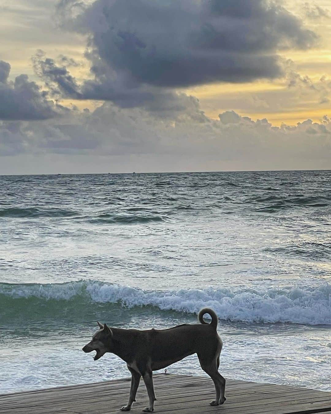 トキさんのインスタグラム写真 - (トキInstagram)「진짜 고마웠던 하늘 🩵🌊🐬 사랑하는 여름 잘가구 🥹🥹🥹」9月14日 18時35分 - minhee_jjjj