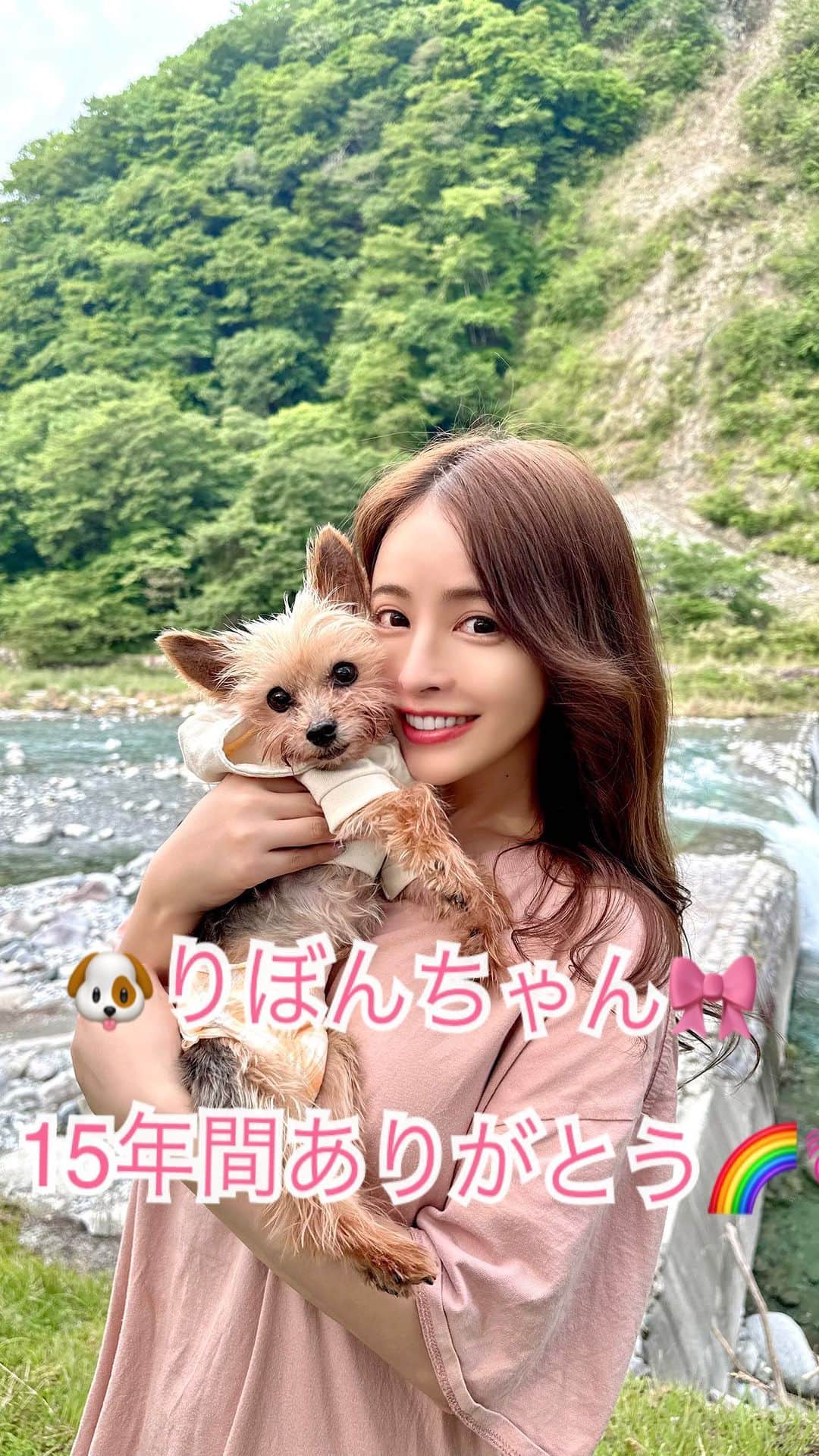 ririのインスタグラム：「☁️2023.09.13 ☁️ 🌈大好きなりぼんちゃんが旅立ちました🌈 1番伝えたい事は "15年間🌻一緒にいてくれてありがとう☺️"  りぼんと過ごした思い出がありすぎて😂 文章では語りきれません🌈🐶  りぼんはあたしの全てでした☺️🌟  私達は何をするにもいつも一緒で 「りぼ〜ん？」👩って呼んでばかりで😂 気づけば、りぼんがそばにいました🐕‍🦺  りぼんと過ごした日々は 楽しくて一生の宝物です🎁  りぼんがいたから頑張れたし、 成長もできたし😆 本当あんな小さな体のどこにそんな エネルギーが隠れているの？って思うくらい 元気で明るい子でした🌈  たくさん支えてもらったので 自分のことばかりではダメ🙅‍♀️だよと☺️ 最後はもうありのままのりぼんを受けとめようと 覚悟をしていました💫  りぼんがくれた15年間🌻は 笑顔で溢れていたね(*´∇｀*)🌈  この時間を無駄にしたら りぼんにきっと怒られるよね😂  ママ👩が泣く為に生きた訳ではないから😤❗️  そうだよね☺️💓🌻 りぼんと過ごした15年間は楽しかった‼️ 最高だった‼️散歩も旅行もいっぱいしたね😂✈️  だから明日りぼんを笑顔で💕 家族みんなで送り出したいと思います💫🐕‍🦺  最高の時間をありがとう💫 りぼんちゃん🎀また会おうね🌈  ✴︎リボンファンの皆様🎀  昨日ストーリーにも載せたので 改めて皆様たくさんのメッセージ ありがとうございました😊💌 皆んなから愛されていたんだなぁと☺️ りぼんの素晴らしさをさらに感じました🤝 ずっとリボンの事載せていたから みんなも悲しいよね😢💓🌻 リボンの為に泣いてくれて ありがとうございます🌟(´；ω；`) りぼんもみんなと出会えて幸せだったよ🌈  みんなの愛するワンちゃん🐶ネコちゃん🐱も たくさん可愛がってあげてね💓💓💓  リボンもお空から見守ってくれてるよ😊❣️ これからも 「riri.ribon」をよろしくお願いします🤲  最後まで読んでくれてありがとうございました☺️🌈🌈🌈」