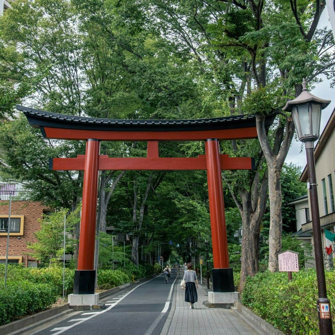 三菱地所レジデンスのインスタグラム：「古より現代まで愛され続ける大宮のシンボル「氷川神社」。  四季折々の自然と神事、大きく育ったケヤキ並木の美しい参道沿いには、風情溢れるお団子屋やおしゃれなカフェも。  歩くだけで心癒される風景が、日々の暮らしのすぐ側にある幸せ。  写真「ザ・パークハウス 大宮氷川参道」（当社分譲済物件）と現地周辺  三菱地所レジデンスは 「暮らしに、いつも新しいよろこびを」 をコンセプトに住まいを考えていきます。 ザ・パークハウスの物件はプロフィール （ @the_parkhouse ）のURLから！  三菱地所レジデンスはX(Twitter)でも発信しています。 （ @the_parkhouse ）のURLから！  #一生ものの景色 #三菱地所レジデンス #ザパークハウス #パークハウス #暮らしにいつも新しいよろこびを #大宮 #大宮氷川神社 #氷川参道 #マンション暮らし #interiordesign #建築デザイン #マンション」