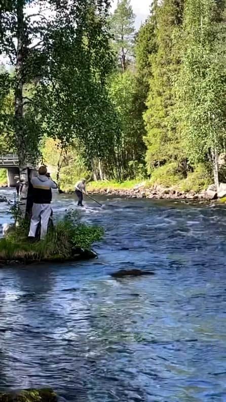 Padgramのインスタグラム：「@katisolmu —Today, Finland boasts just a handful of loggers capable of effortlessly gliding down rivers atop logs, akin to using a contemporary standup paddleboard. Surprisingly, the historical Finnish loggers may have surpassed Polynesians in their aptitude for balancing on precarious watercraft. For these loggers, maneuvering through log-filled rivers was a routine aspect of their profession. The expertise acquired by traditional loggers on the water eventually evolved into a source of amusement, paving the way for competitive lumberjack sports such as log rolling.  🎥 @katisolmu  📍Kitkajoki, Finland 🇫🇮  #pgdaily #pgstar#pgcounty #finlandnature #planetgo#planet #planetearth #amazing #awesome #nature #finland🇫🇮 #finland」